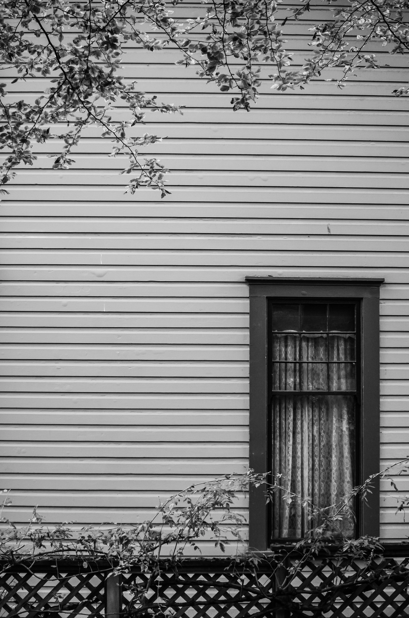 Pentax smc DA 50-200mm F4-5.6 ED sample photo. Wall photography