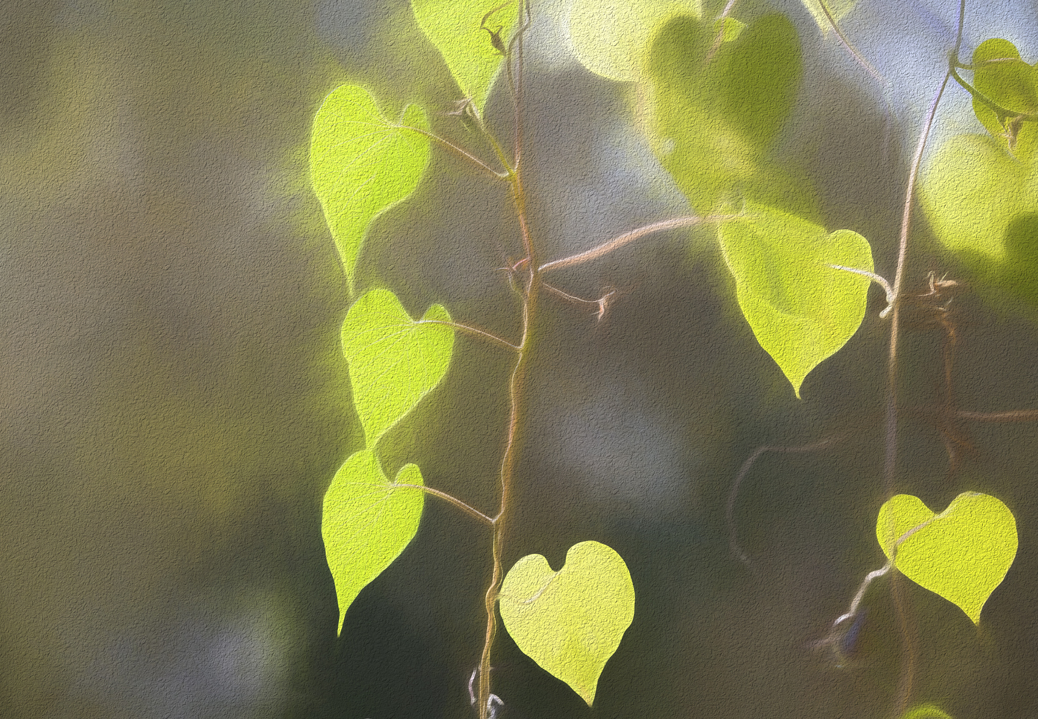 Canon EOS-1Ds Mark II sample photo. Autumn hearts photography