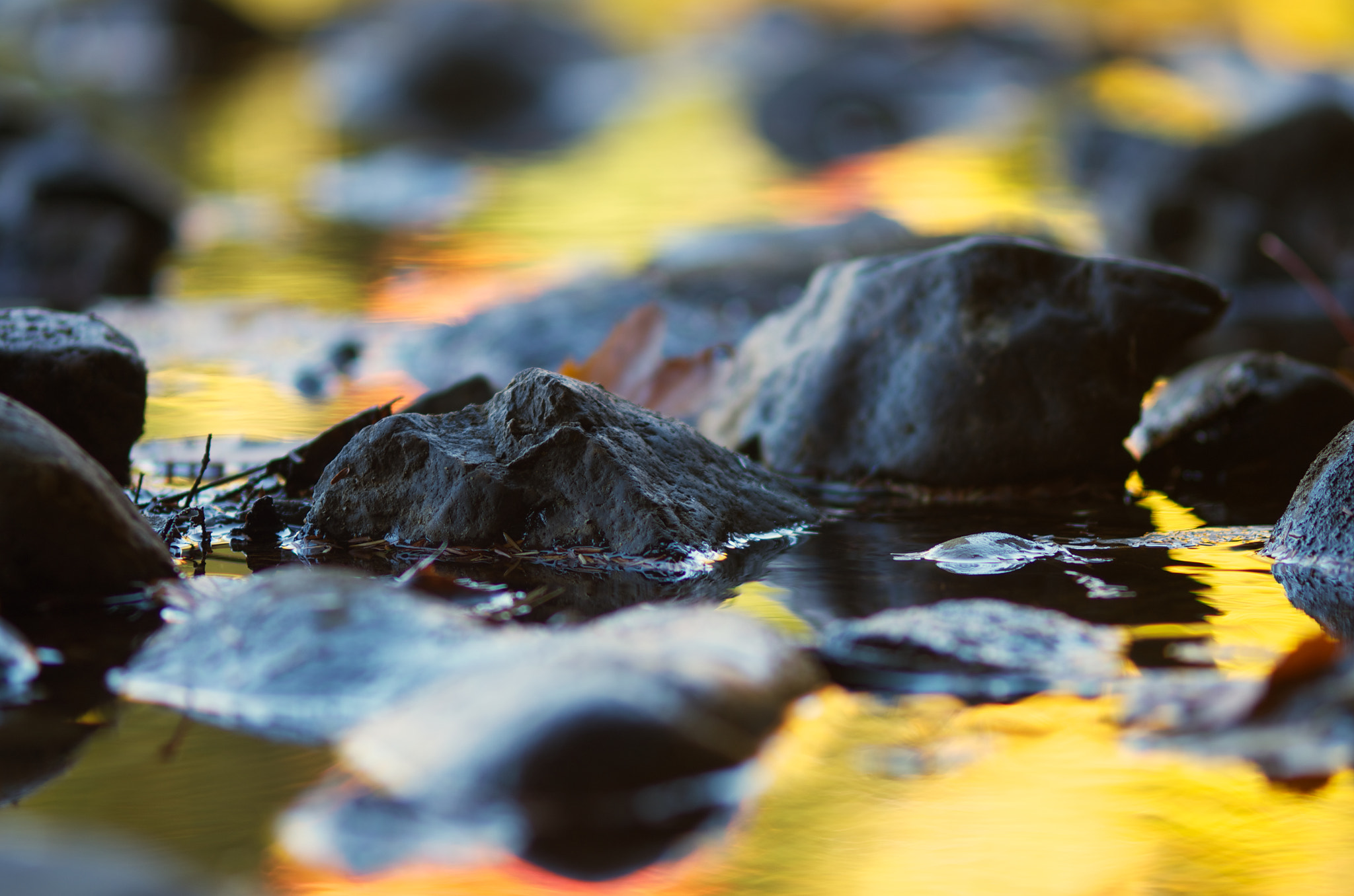 Pentax K-5 II + smc PENTAX-FA Macro 100mm F2.8 sample photo. River rocks (2016) photography