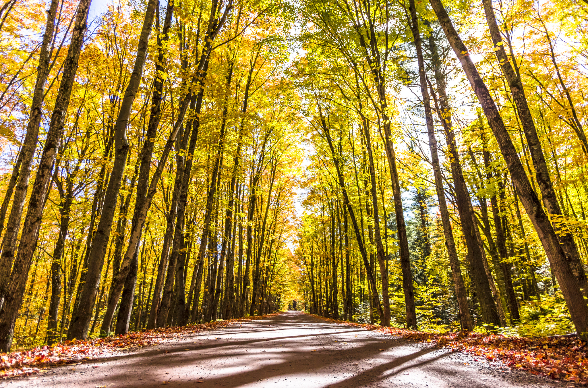 Pentax K-3 sample photo. Covered road photography