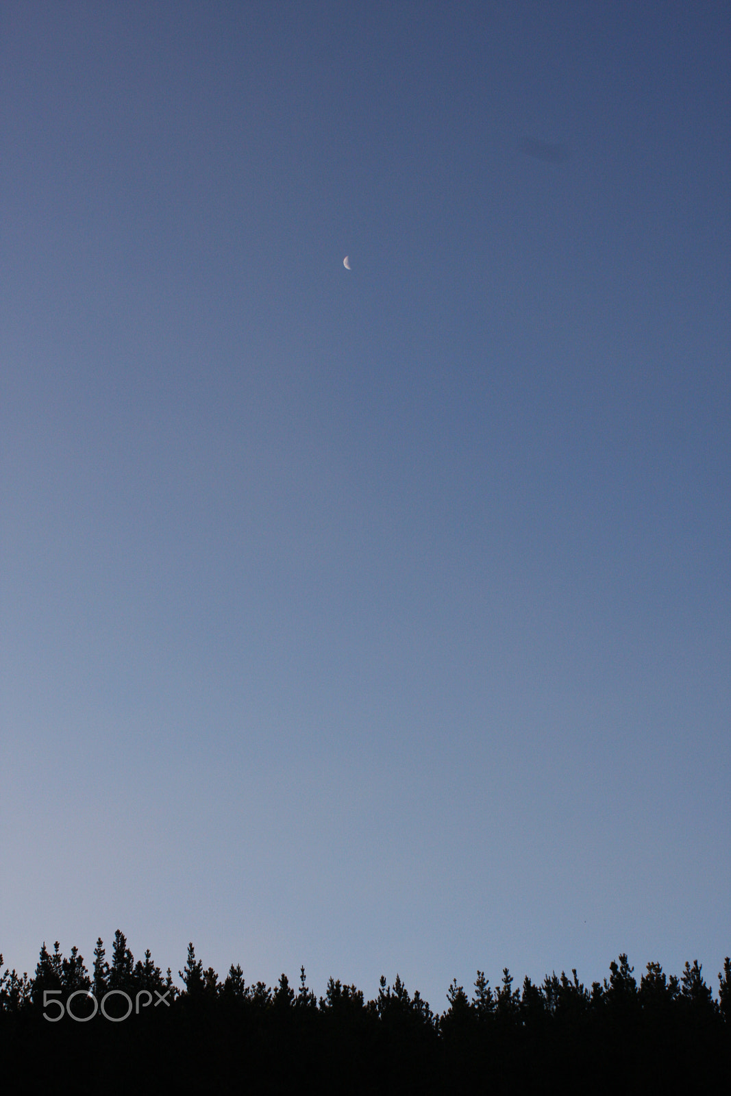 Canon EF 28-80mm f/3.5-5.6 sample photo. Moon and woods photography