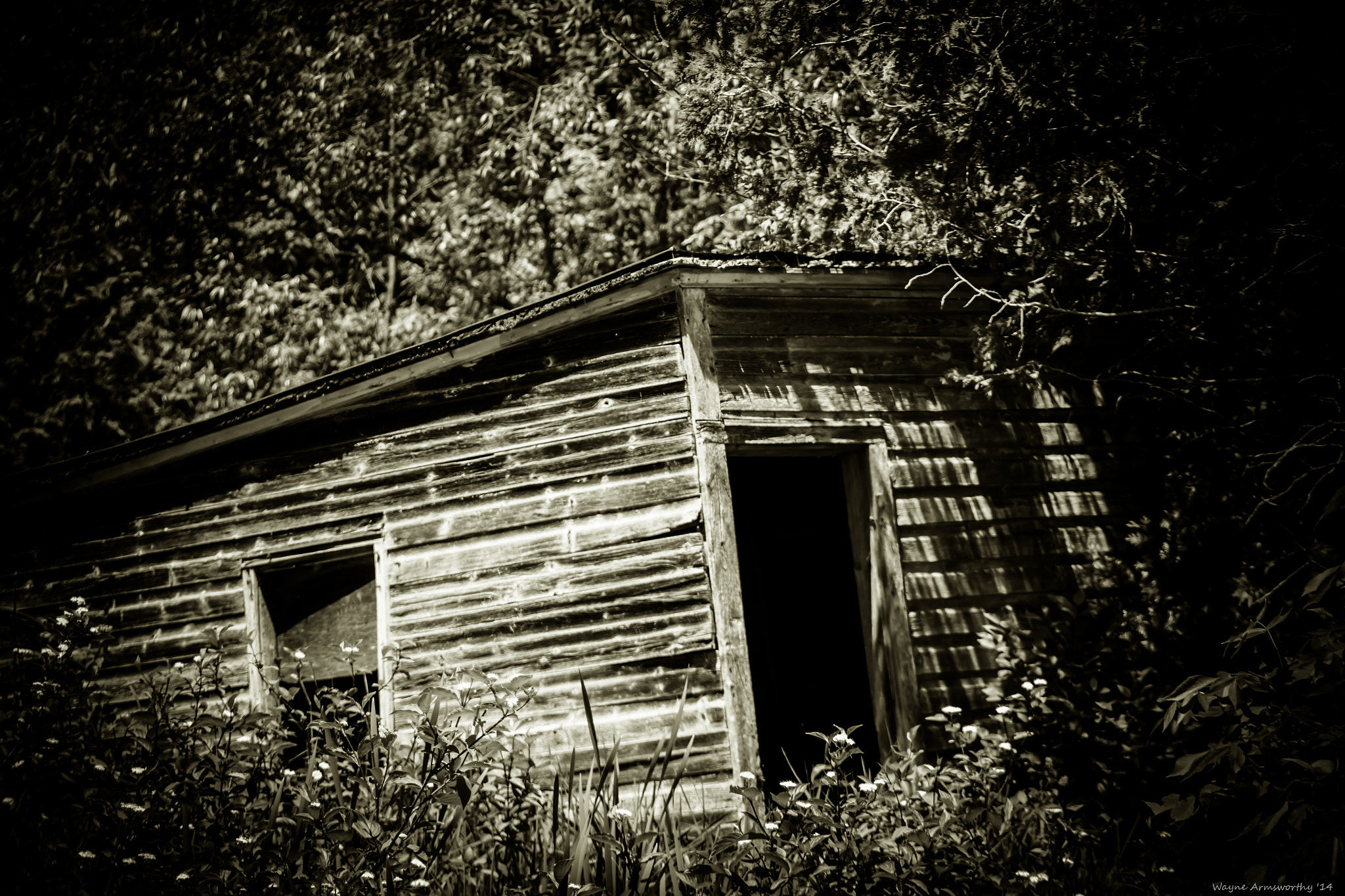 Canon EOS 650D (EOS Rebel T4i / EOS Kiss X6i) sample photo. Cabin in the woods photography
