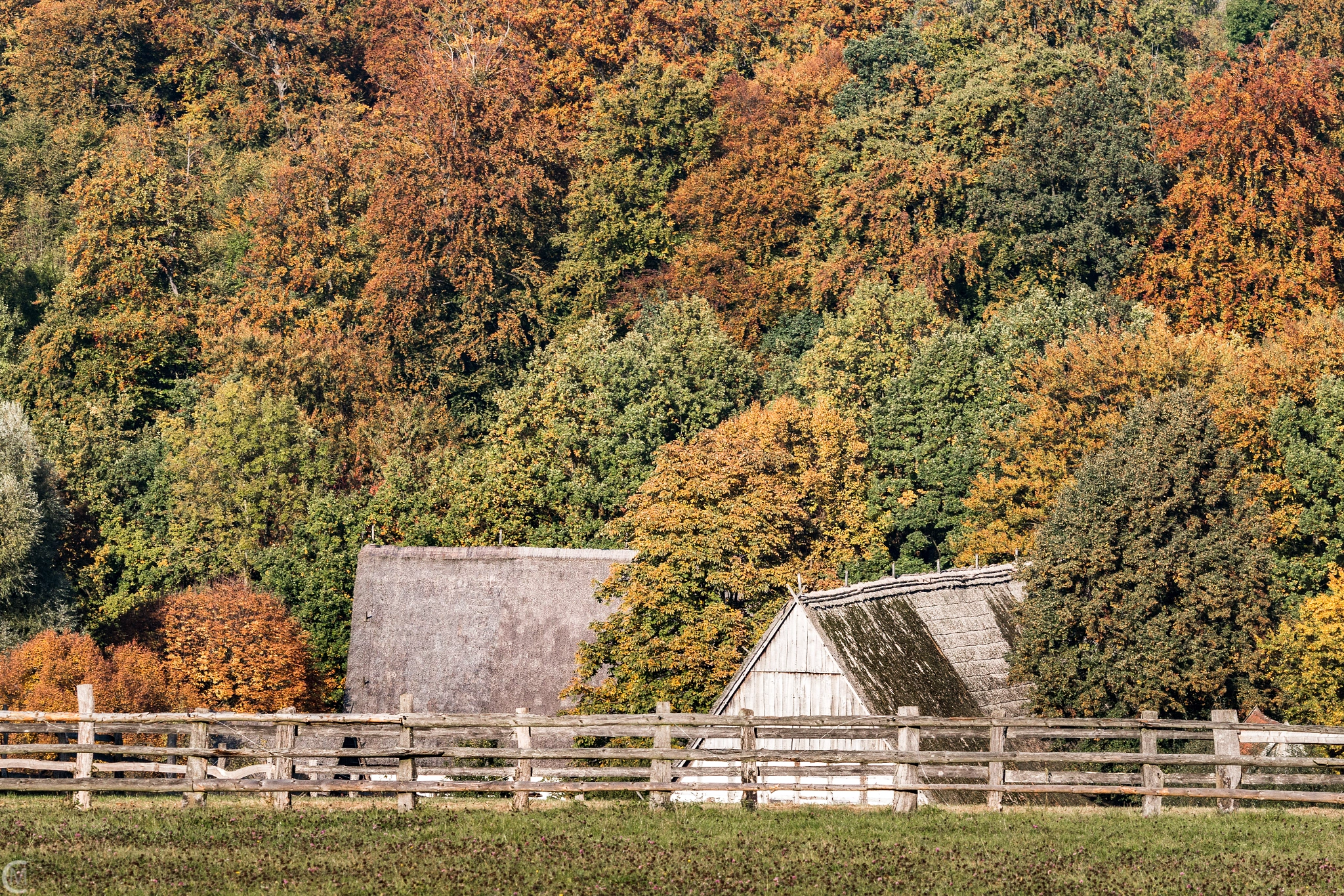 Canon EOS 70D + Canon EF 135mm F2L USM sample photo. Autumn colours photography