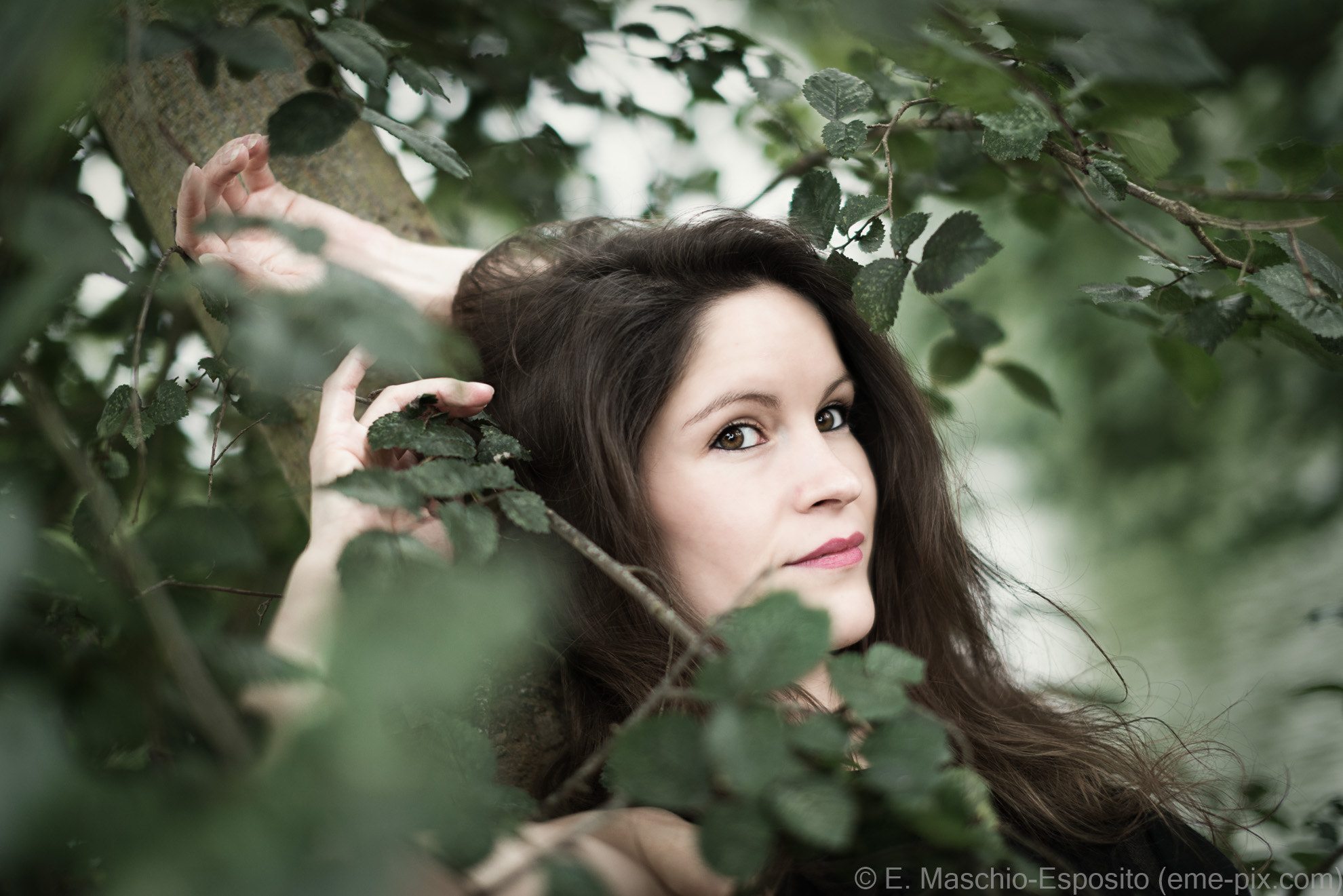 Nikon D800 + Sigma 50mm F1.4 EX DG HSM sample photo. à l'orée du bois photography