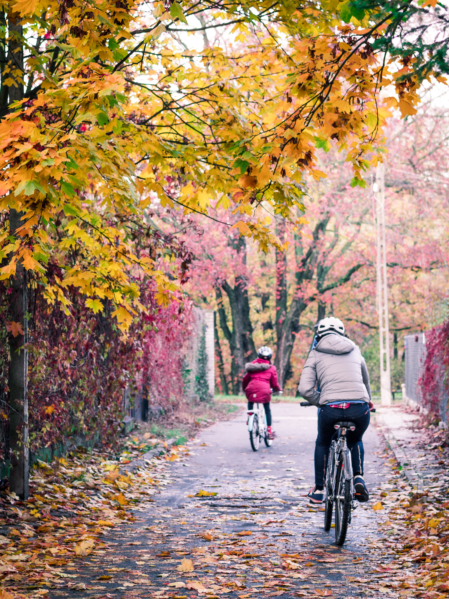 Panasonic Lumix G 42.5mm F1.7 ASPH Power OIS sample photo. Autumn photography