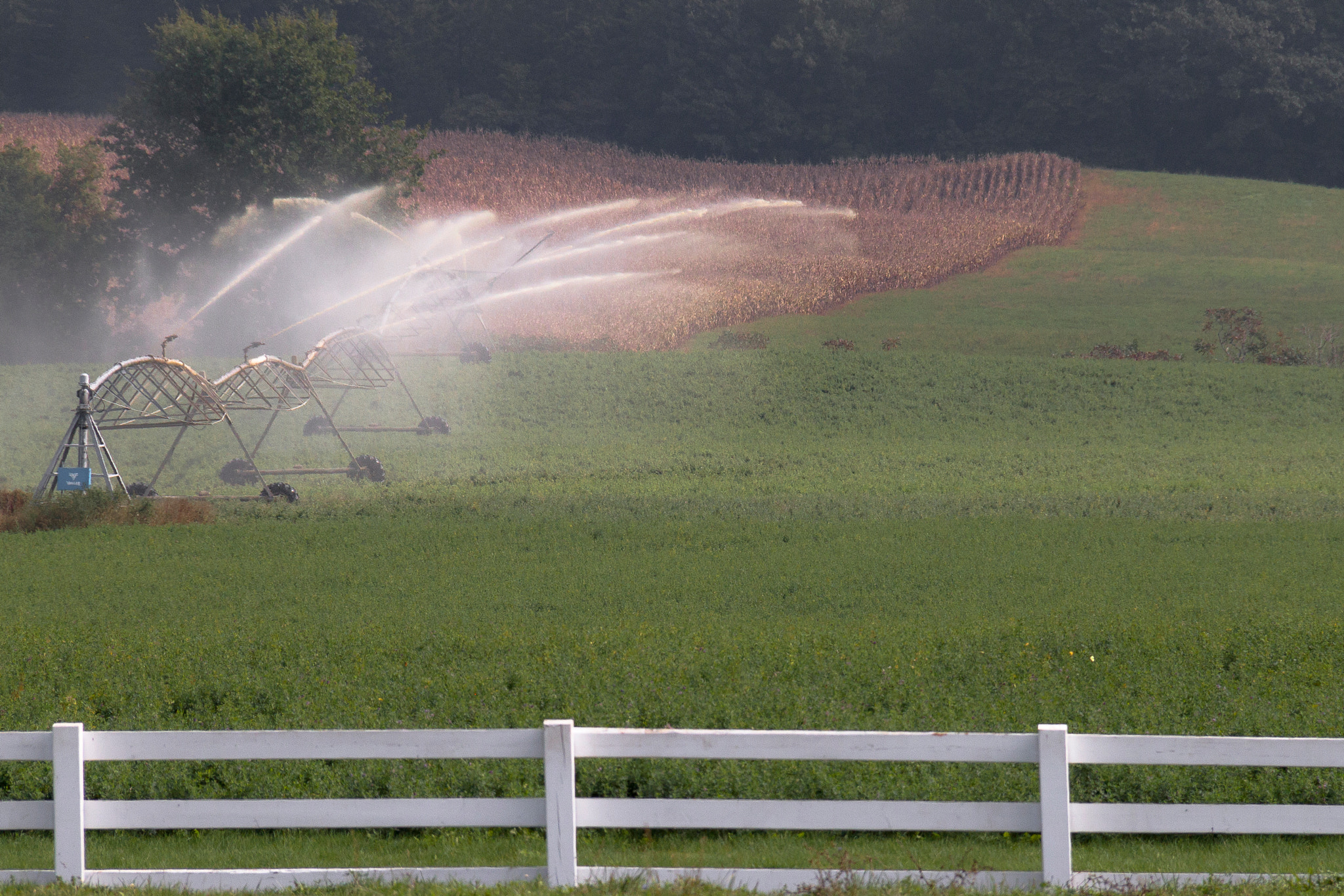 Canon EOS 500D (EOS Rebel T1i / EOS Kiss X3) sample photo. Pasture irrigation photography