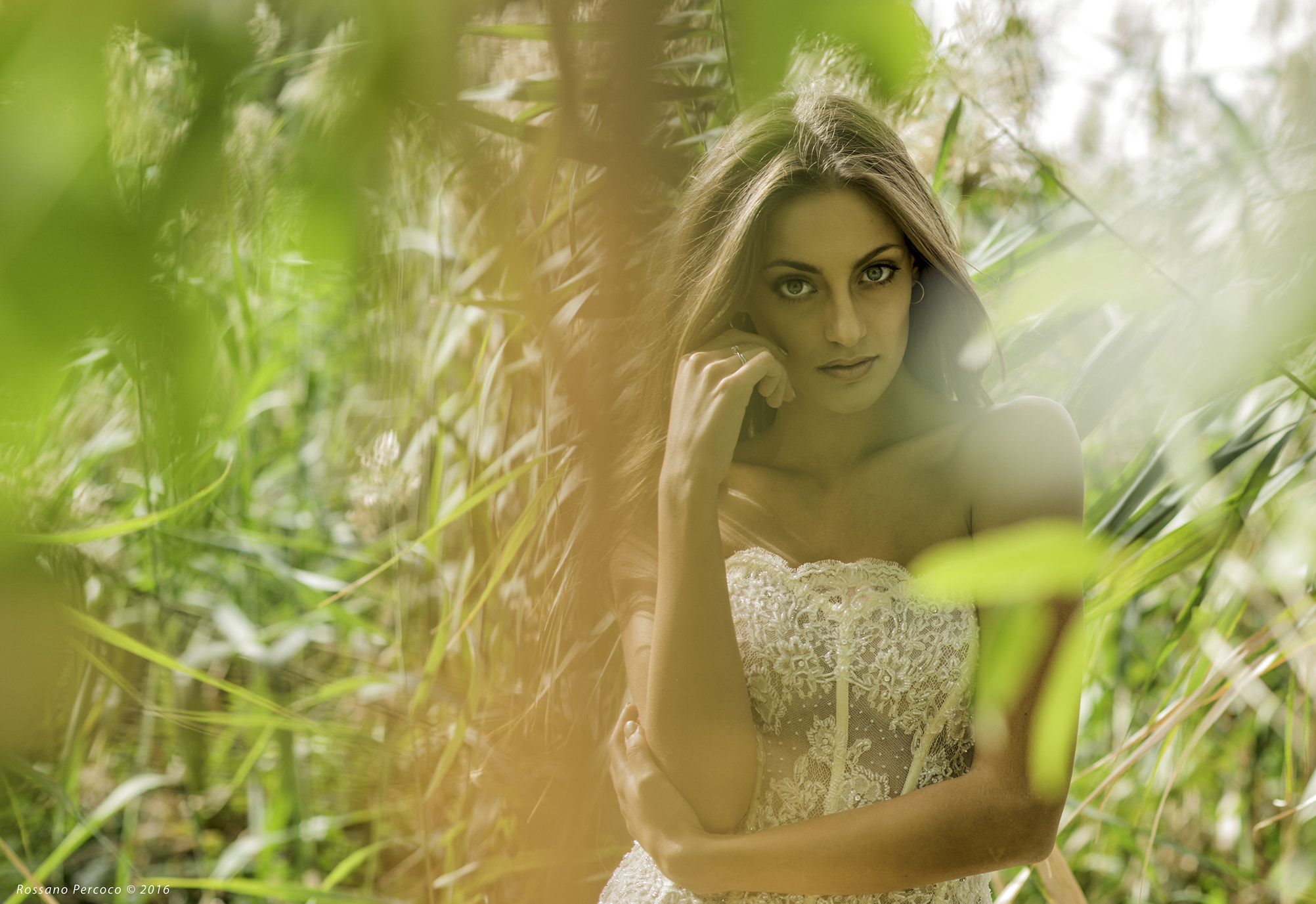 Nikon D810 + Nikon AF Nikkor 85mm F1.8D sample photo. Sorpresa tra le foglie photography