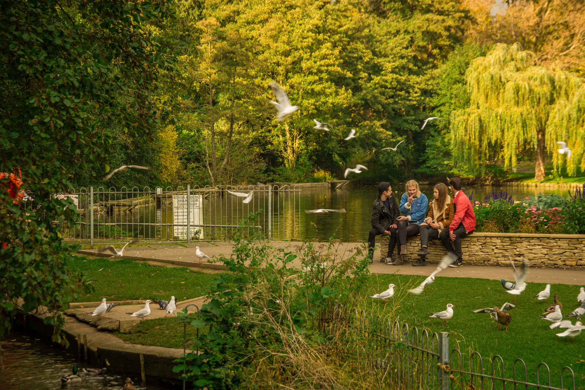 Nikon D7200 + Sigma 18-200mm F3.5-6.3 DC sample photo. Day out in the park. photography