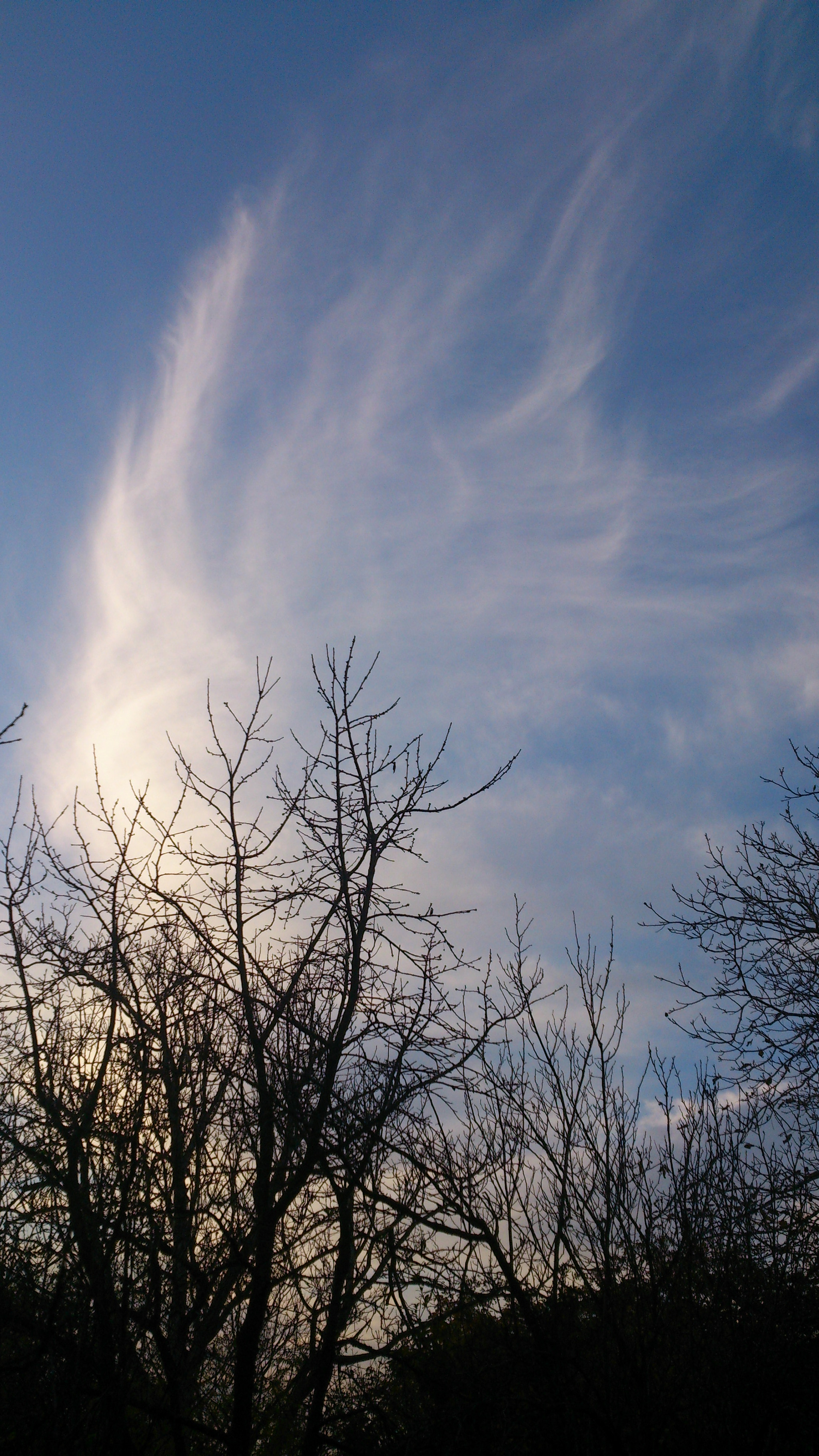 Sony Xperia T sample photo. Contrast photography