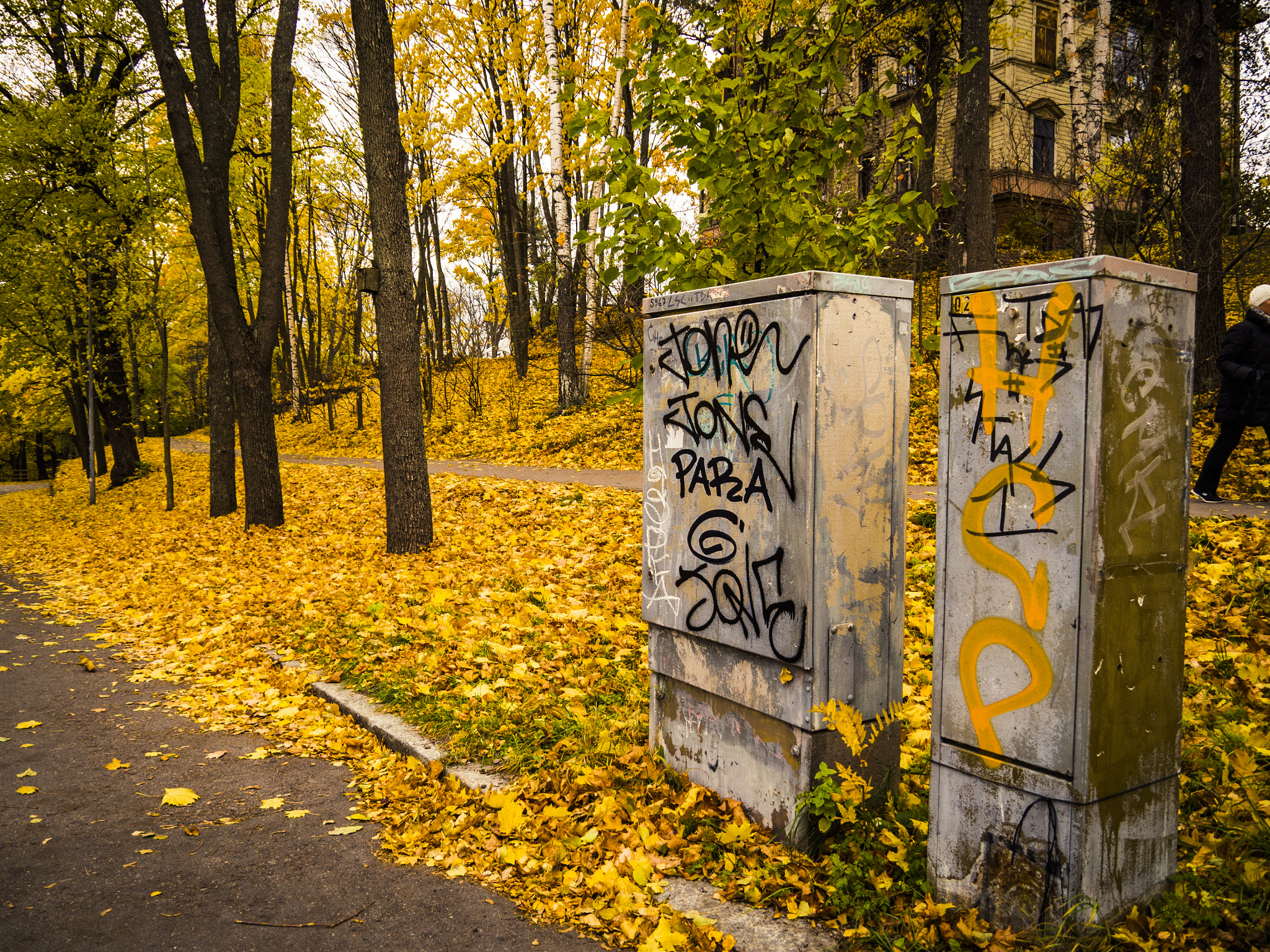 OLYMPUS M.14-150mm F4.0-5.6 II sample photo. Yellow storm photography