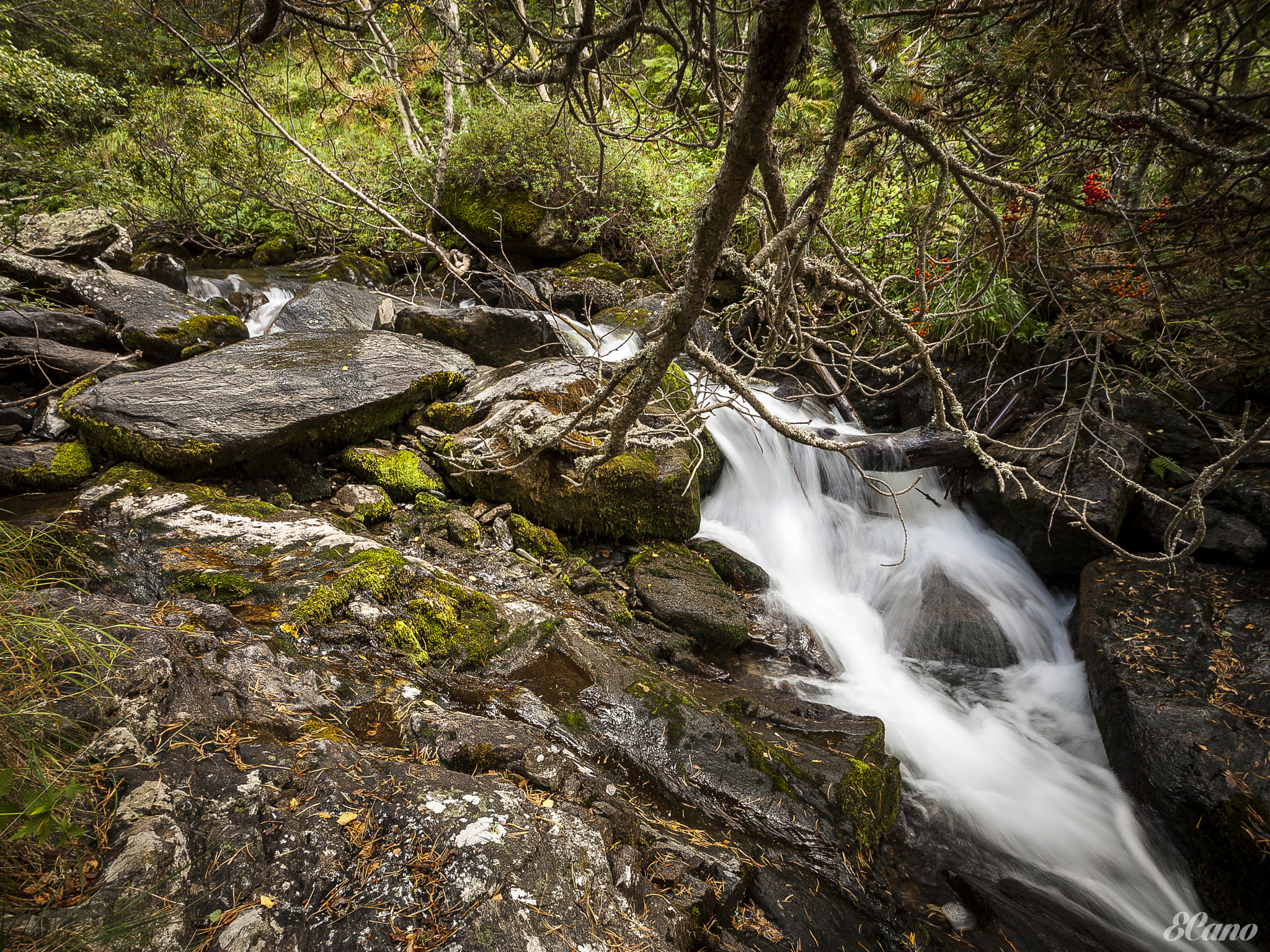 Sigma 10-20mm F3.5 EX DC HSM sample photo. The river iii photography
