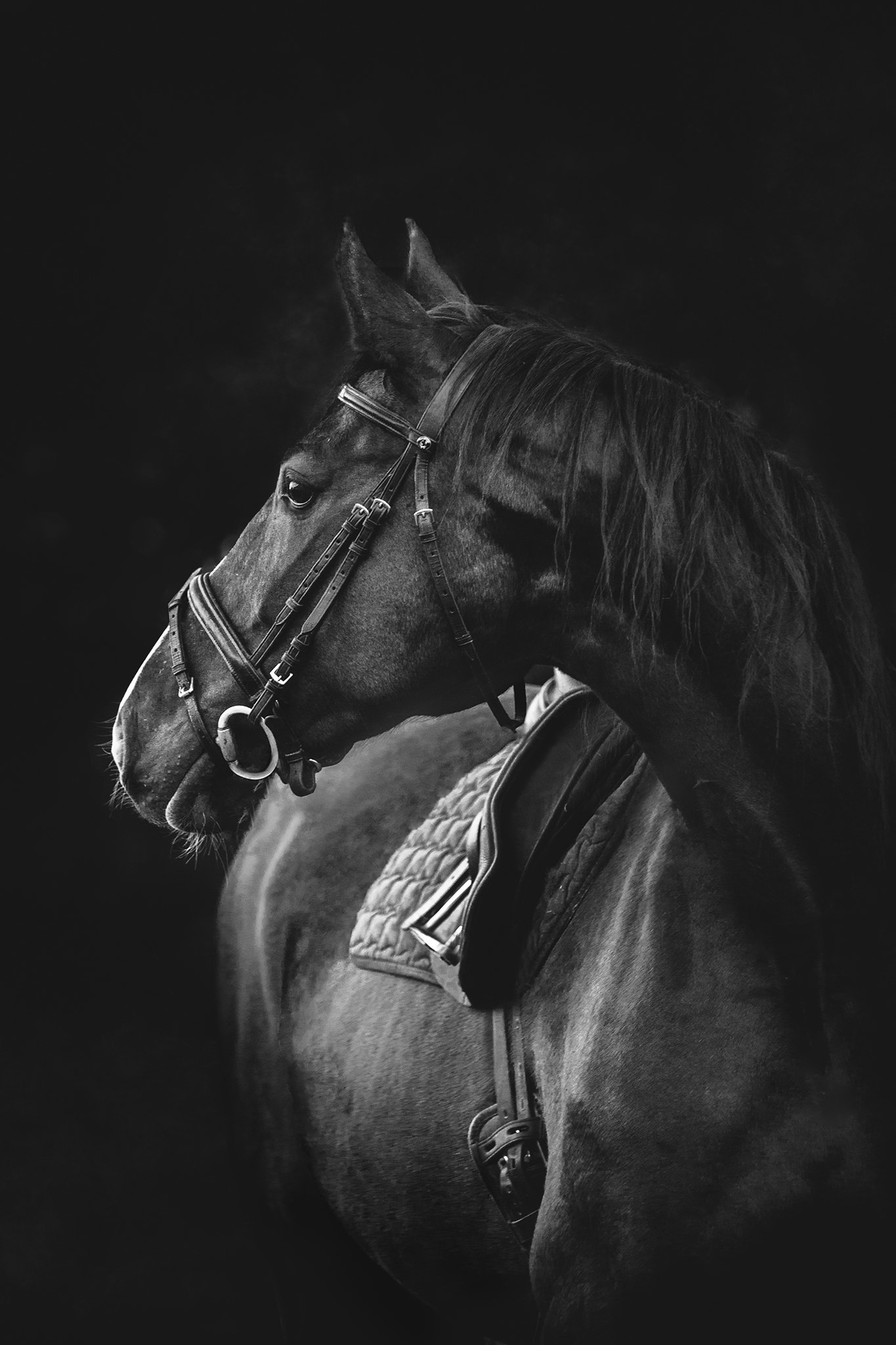 Canon EF 70-200mm F2.8L IS USM sample photo. Done editing the first shot from earlier :) photography