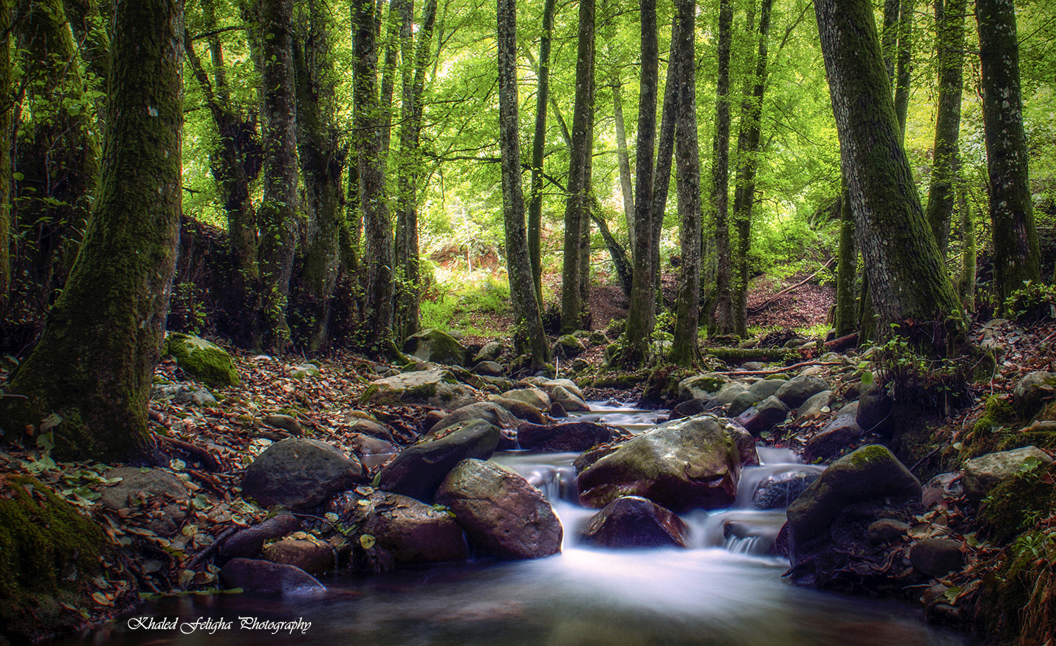 Sigma 18-50mm F2.8-4.5 DC OS HSM sample photo. Mont-valley photography