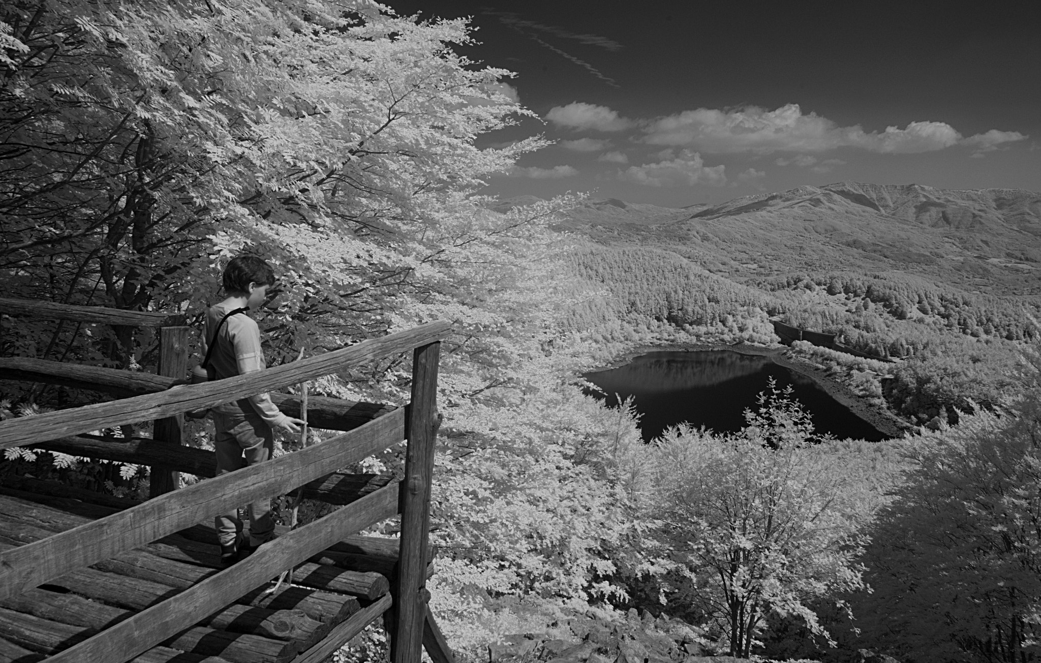 Nikon D80 sample photo. My son and a lake in ir light photography