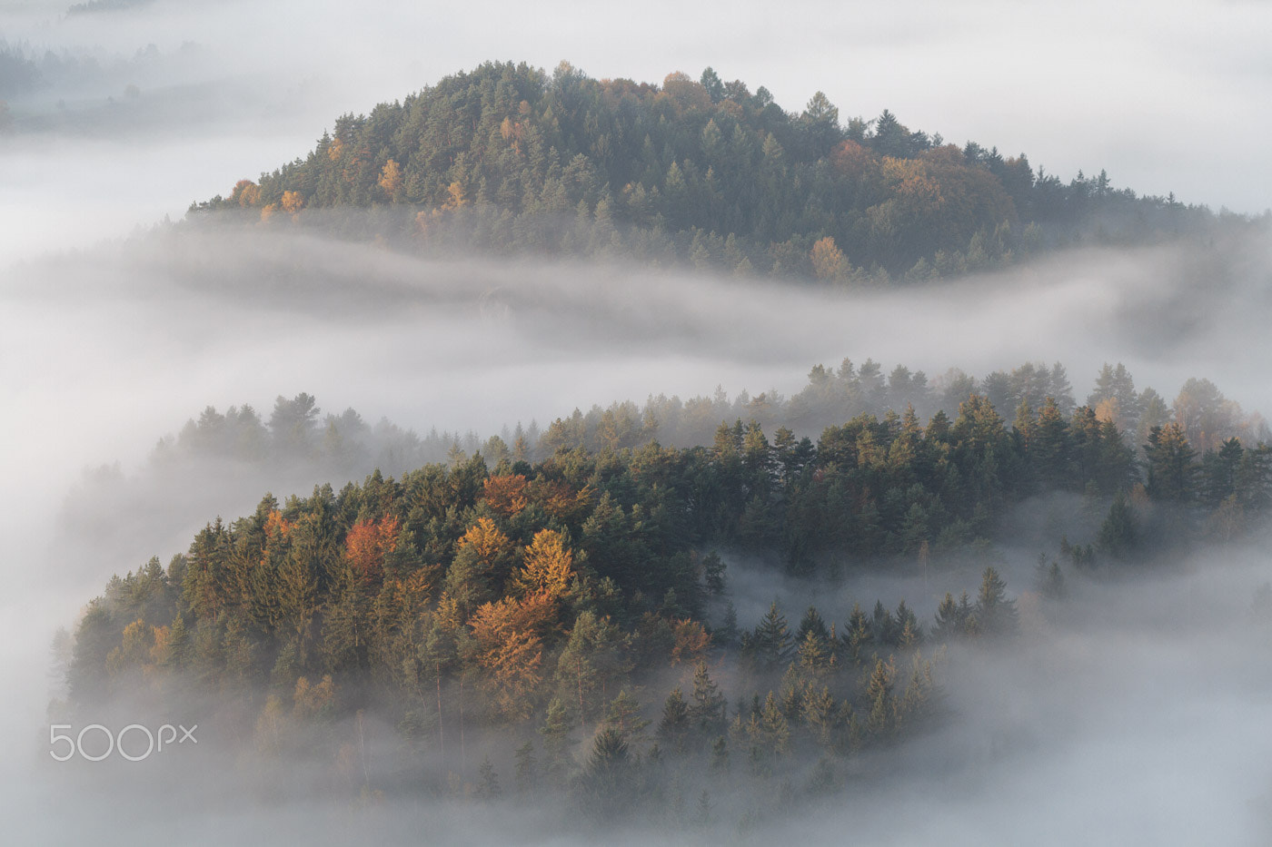 Sigma 70-200mm F2.8 EX DG OS HSM sample photo. Mystic autumn photography