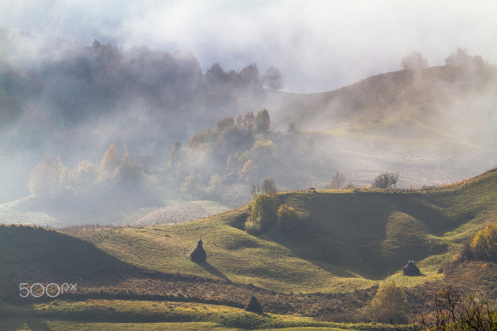 Canon EOS 7D sample photo. Autumn rythm photography