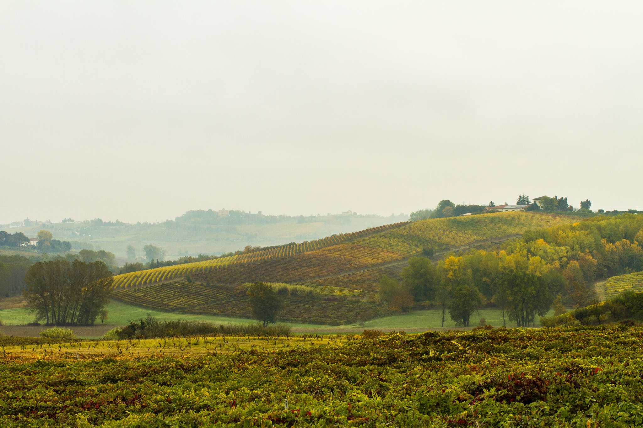 Canon EOS 7D + Canon EF 35mm F1.4L USM sample photo. Colline colorate nella nebbia autunnale photography