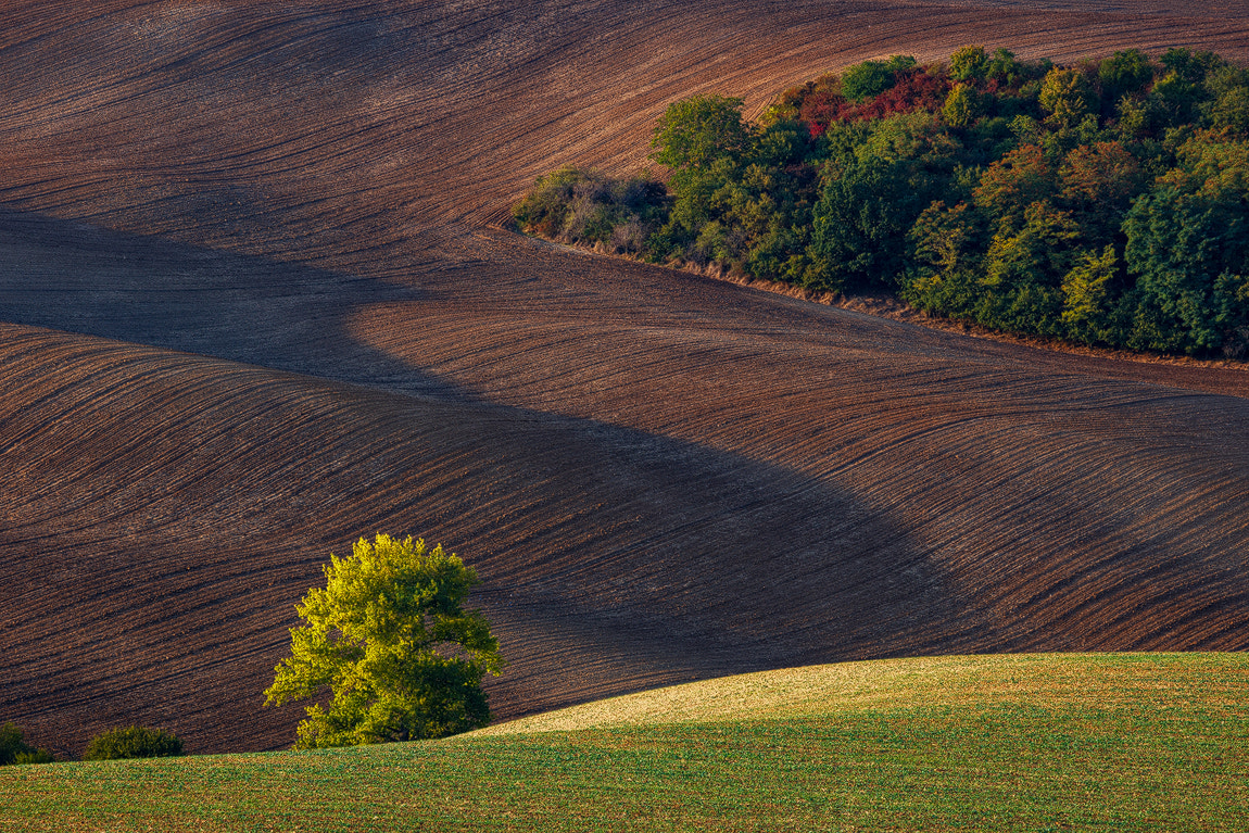 Canon EF 70-300mm F4-5.6L IS USM sample photo. Moravian fields photography