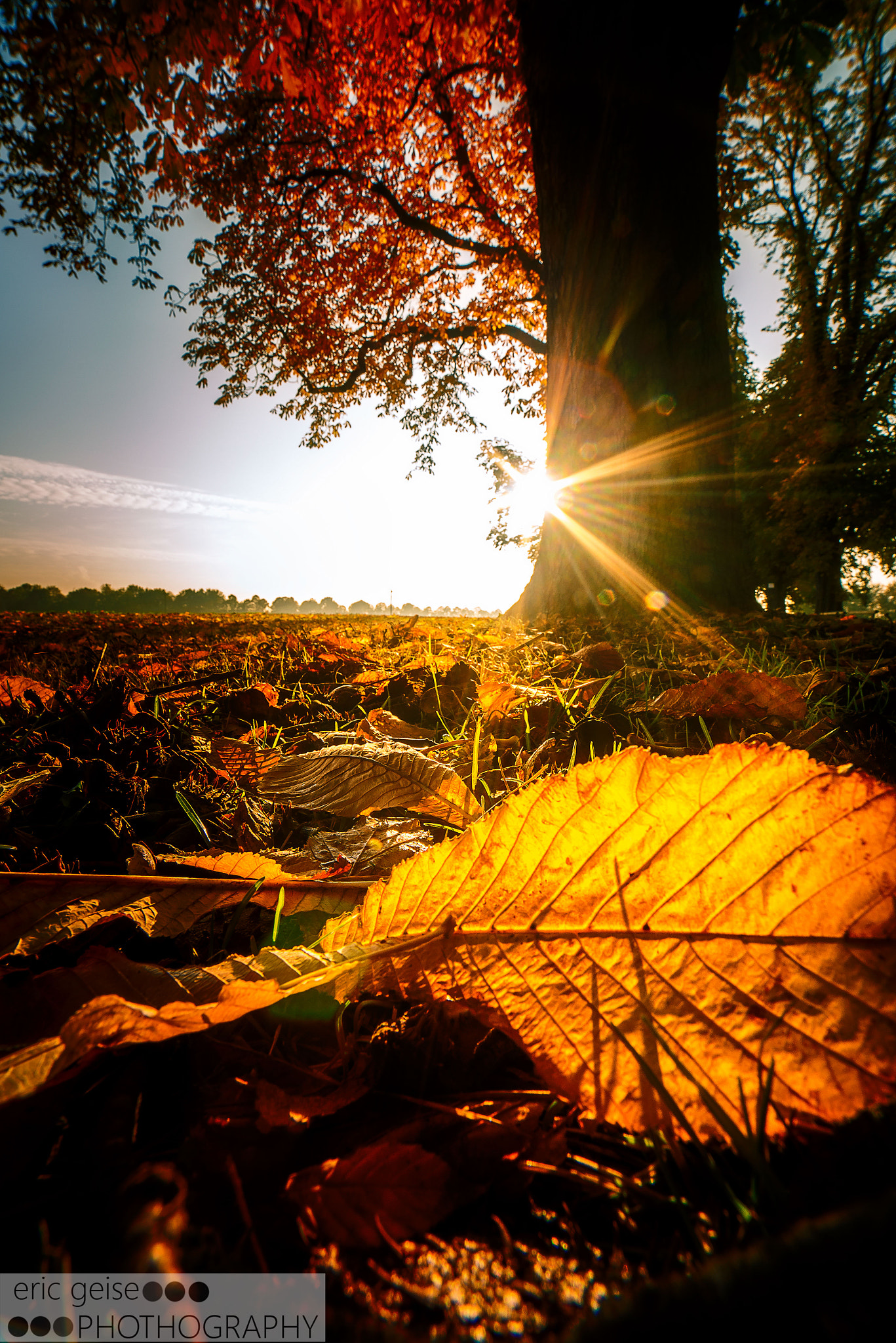 Samyang 14mm F2.8 ED AS IF UMC sample photo. Blatt photography