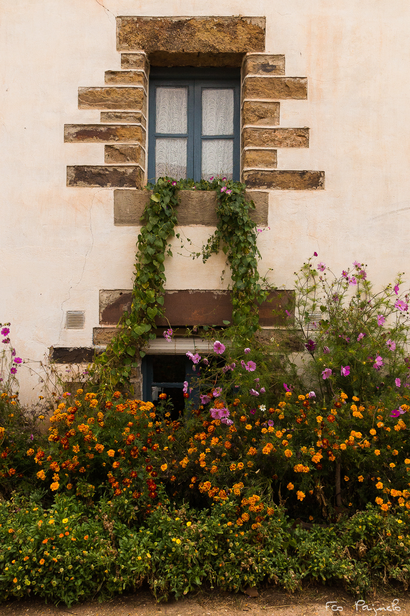 Sony a99 II + Sony DT 16-50mm F2.8 SSM sample photo. La casa de las flores ii photography