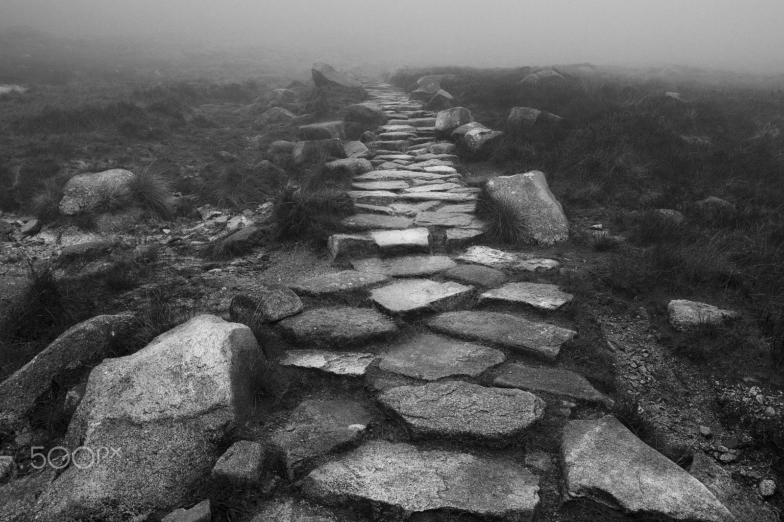 Canon EOS 7D + Canon EF 16-35mm F2.8L USM sample photo. Path to nowhere photography