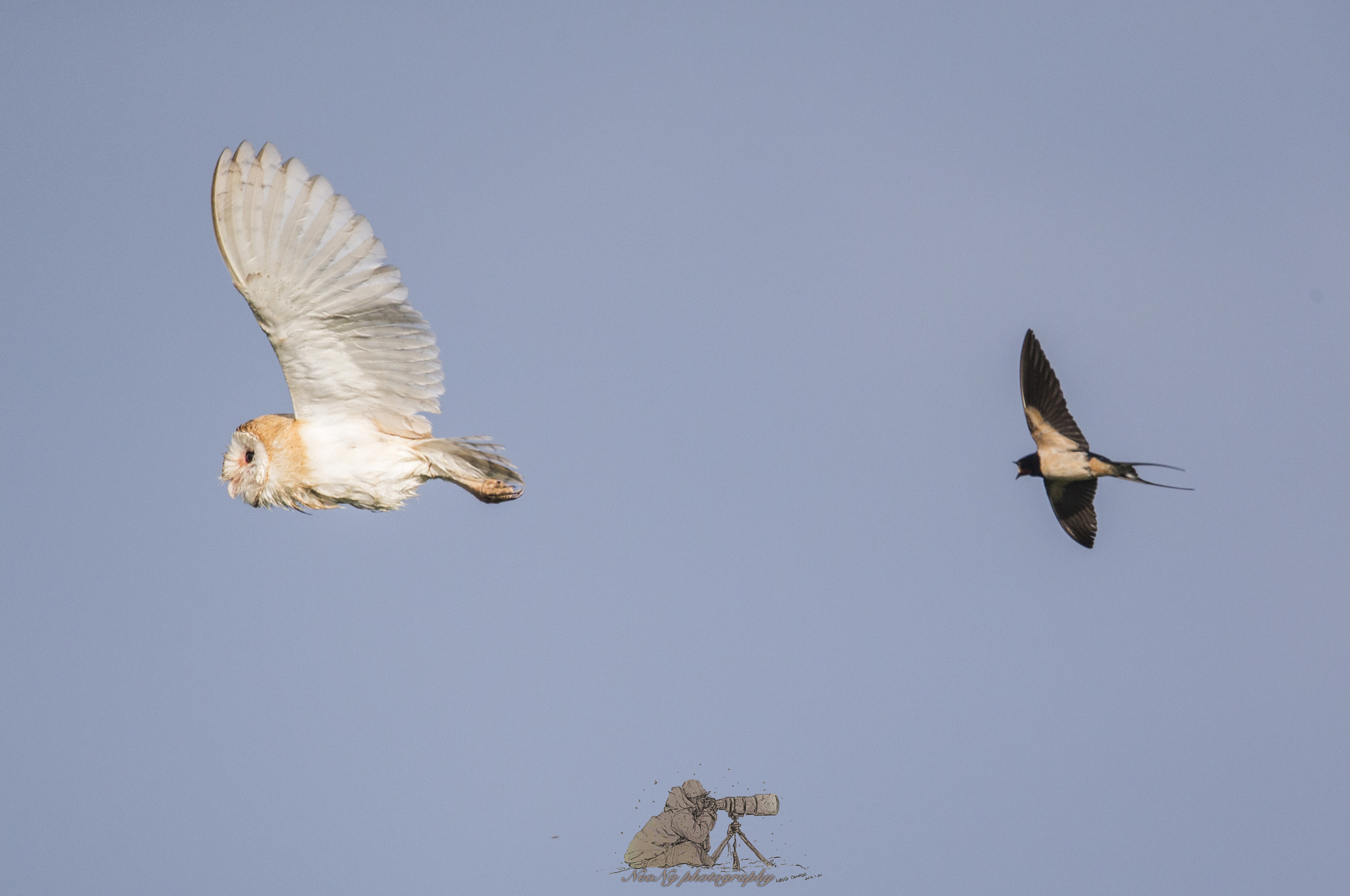 Canon EF 600mm F4L IS II USM sample photo. Bcr photography