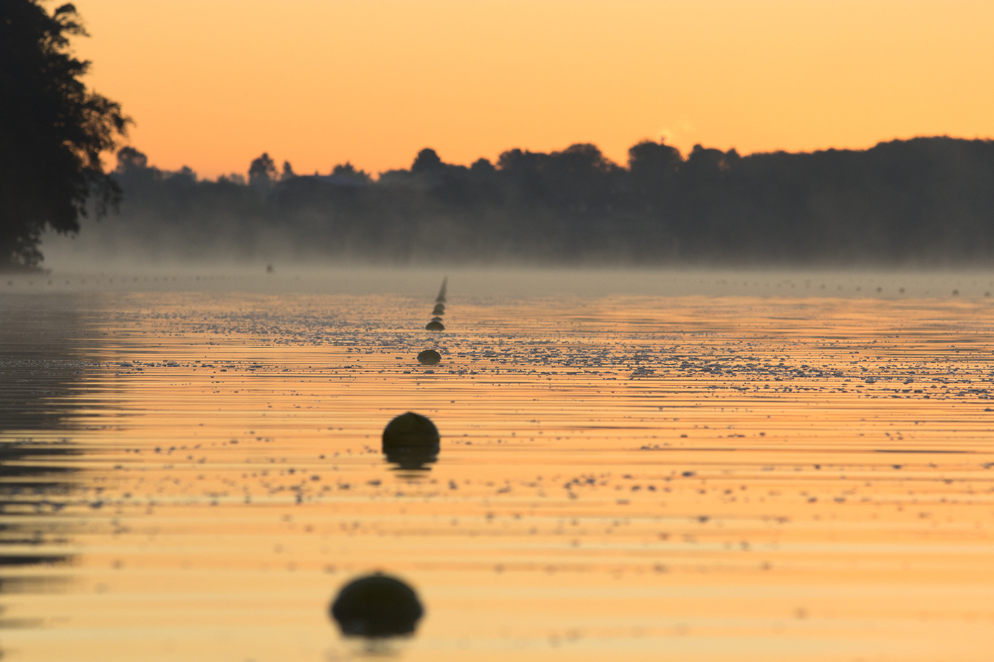 Canon EF 70-200mm F2.8L USM sample photo. Padling in sunrise photography