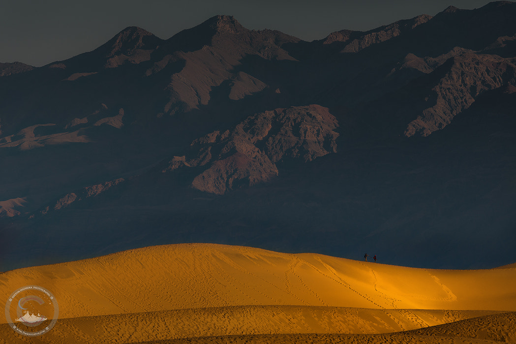 Nikon D800E sample photo. The explorer photography