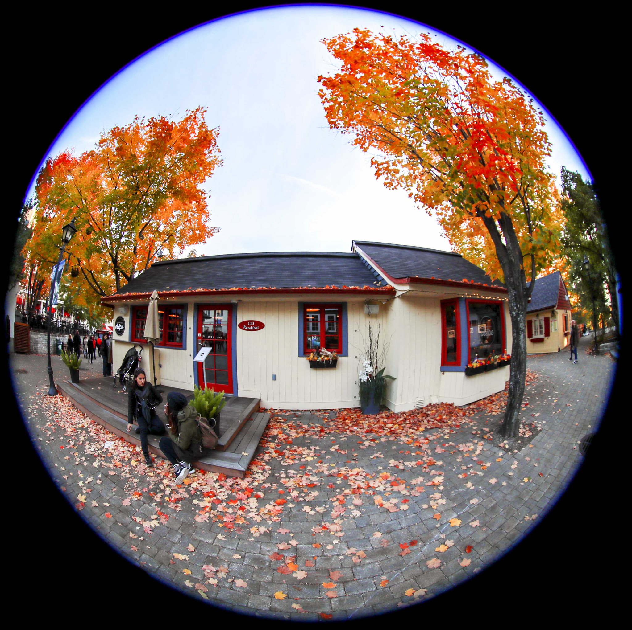 Canon EF 8-15mm F4L Fisheye USM sample photo. Cafe photography