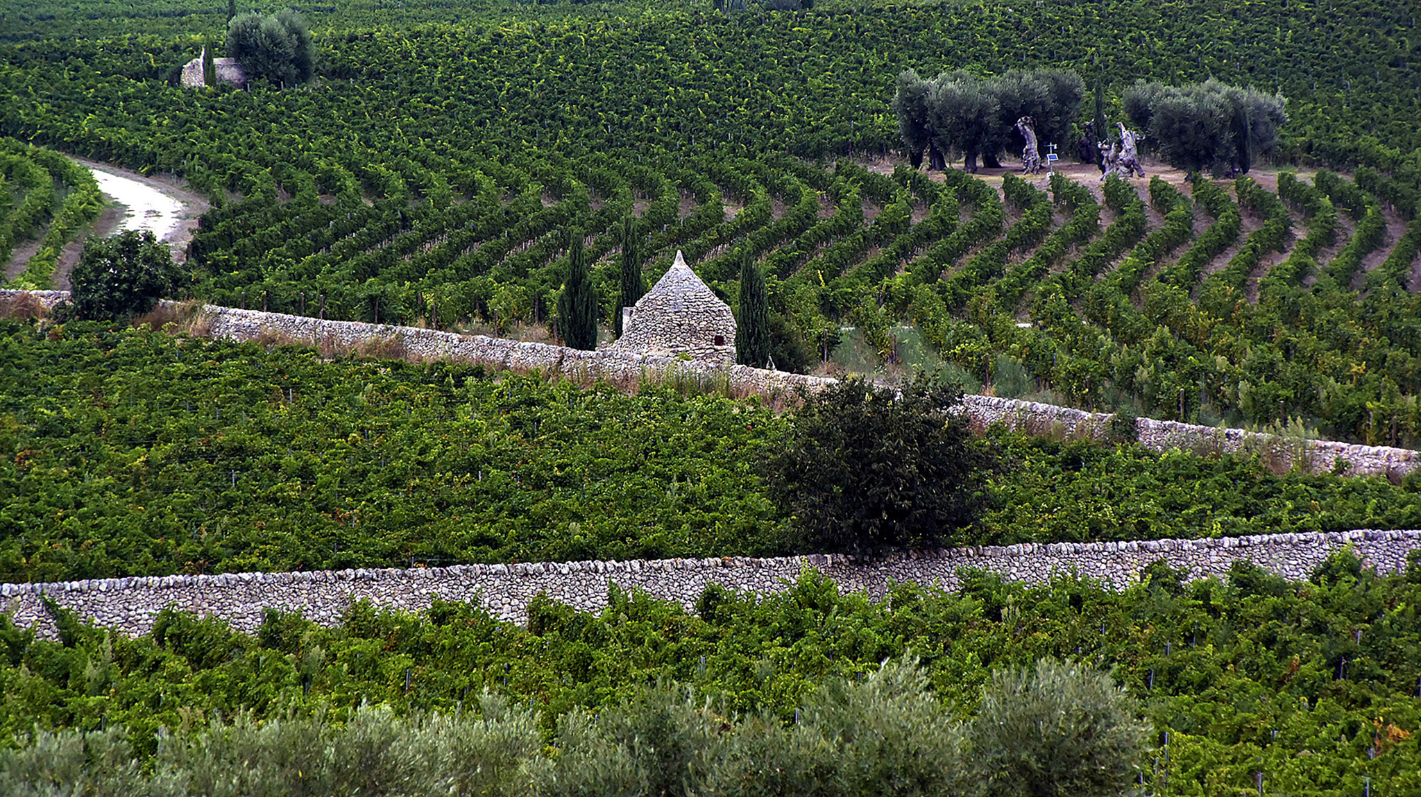 1 NIKKOR VR 10-100mm f/4-5.6 sample photo. Italian soul - i trulli del gargano photography