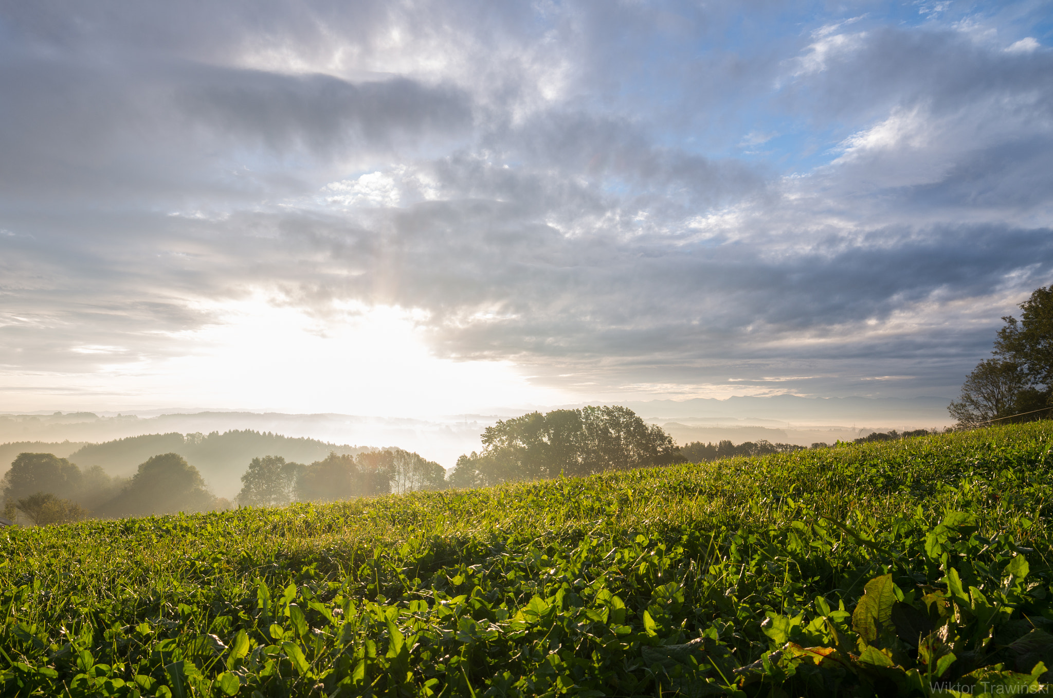 Pentax K-5 IIs sample photo. Sunrise photography