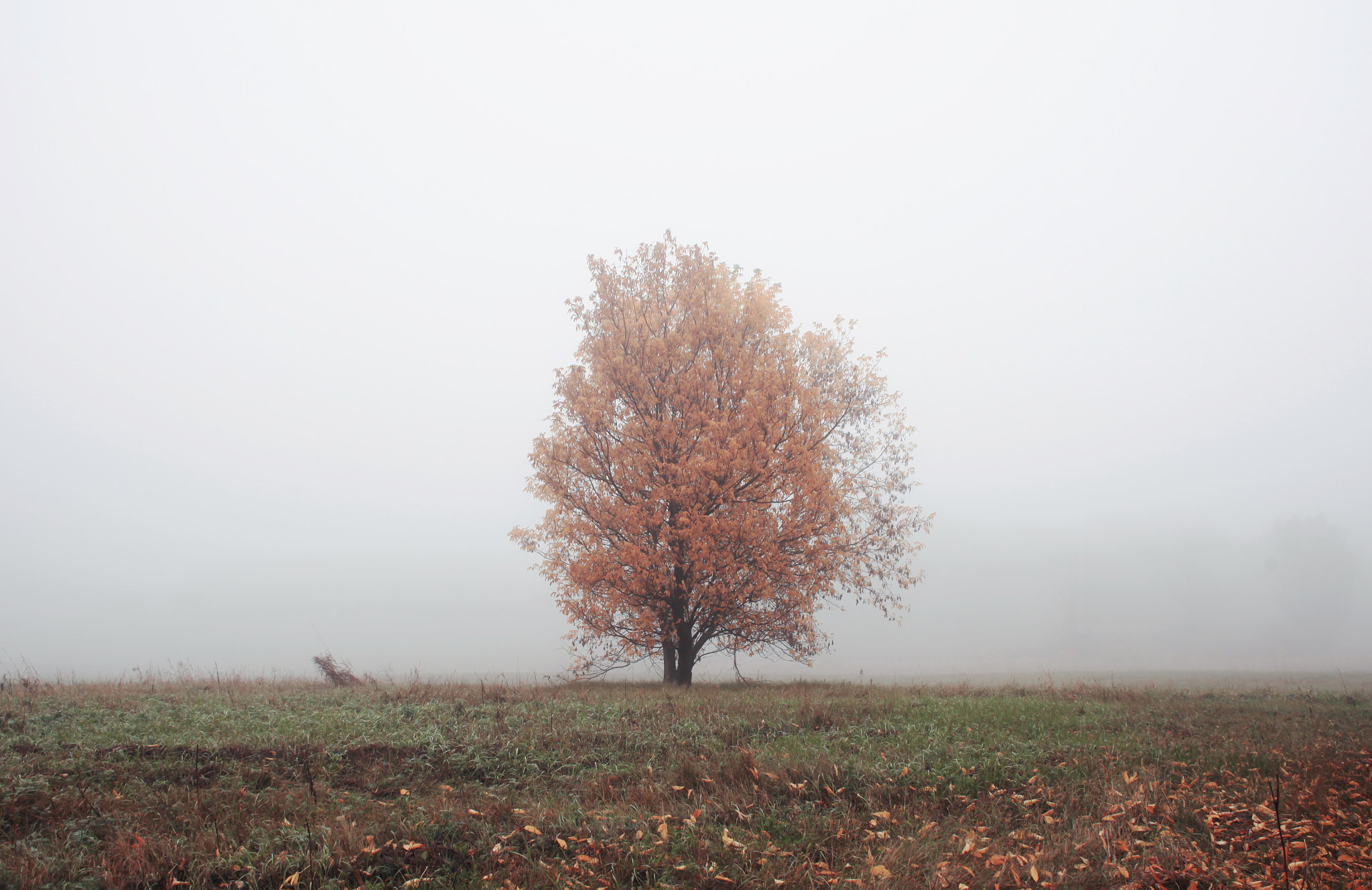 Canon EF 28-80mm f/3.5-5.6 USM IV sample photo. Lucid dreaming photography