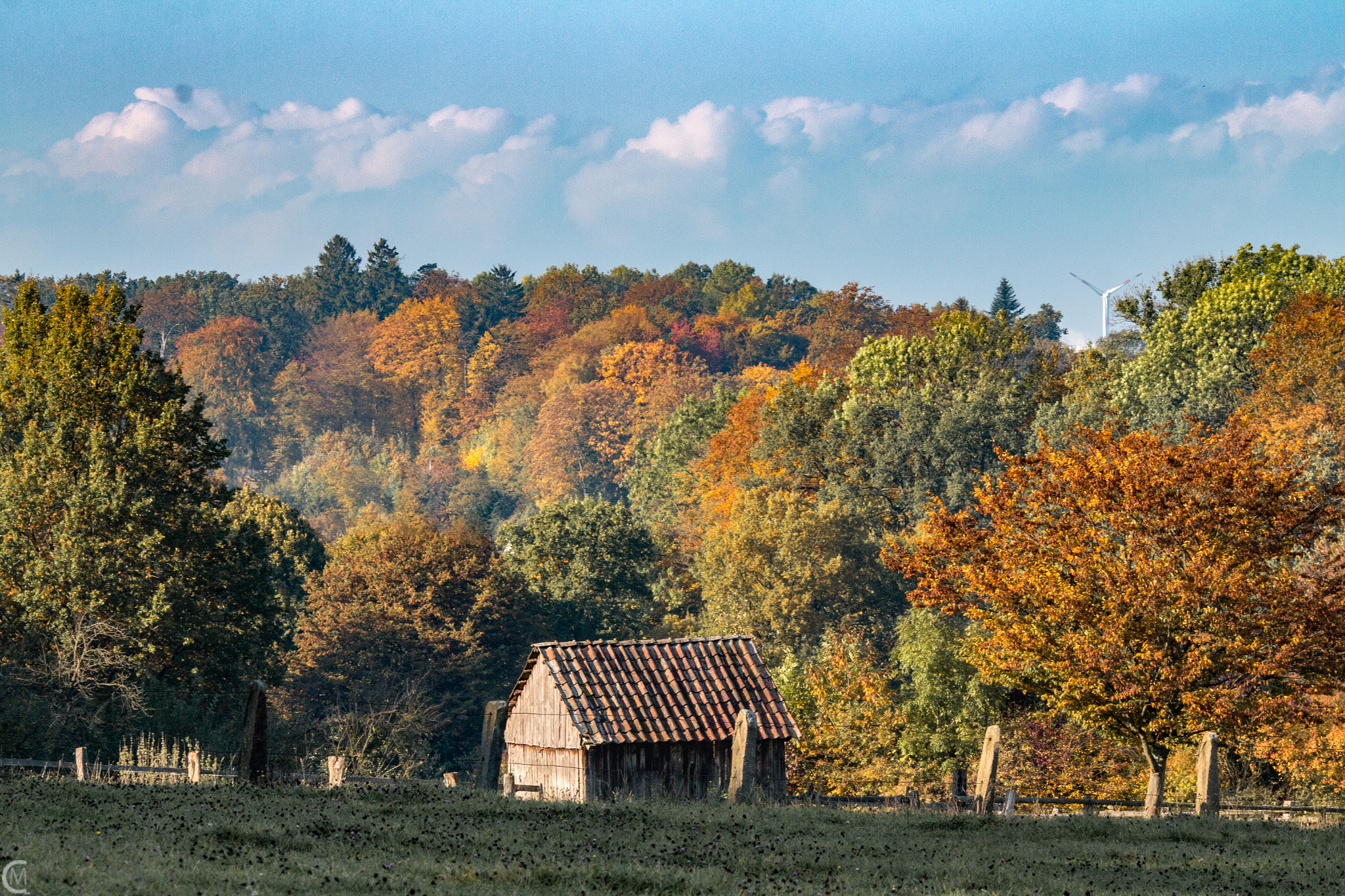 Canon EOS 70D + Canon EF 135mm F2L USM sample photo. Pony barn photography