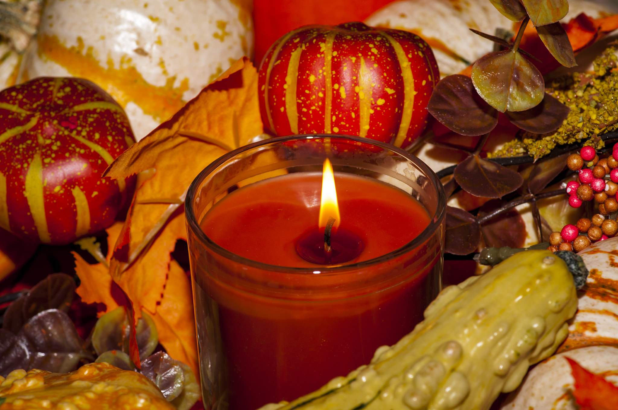 Nikon D90 + Tokina AT-X Pro 100mm F2.8 Macro sample photo. Harvest time centerpiece with candle photography