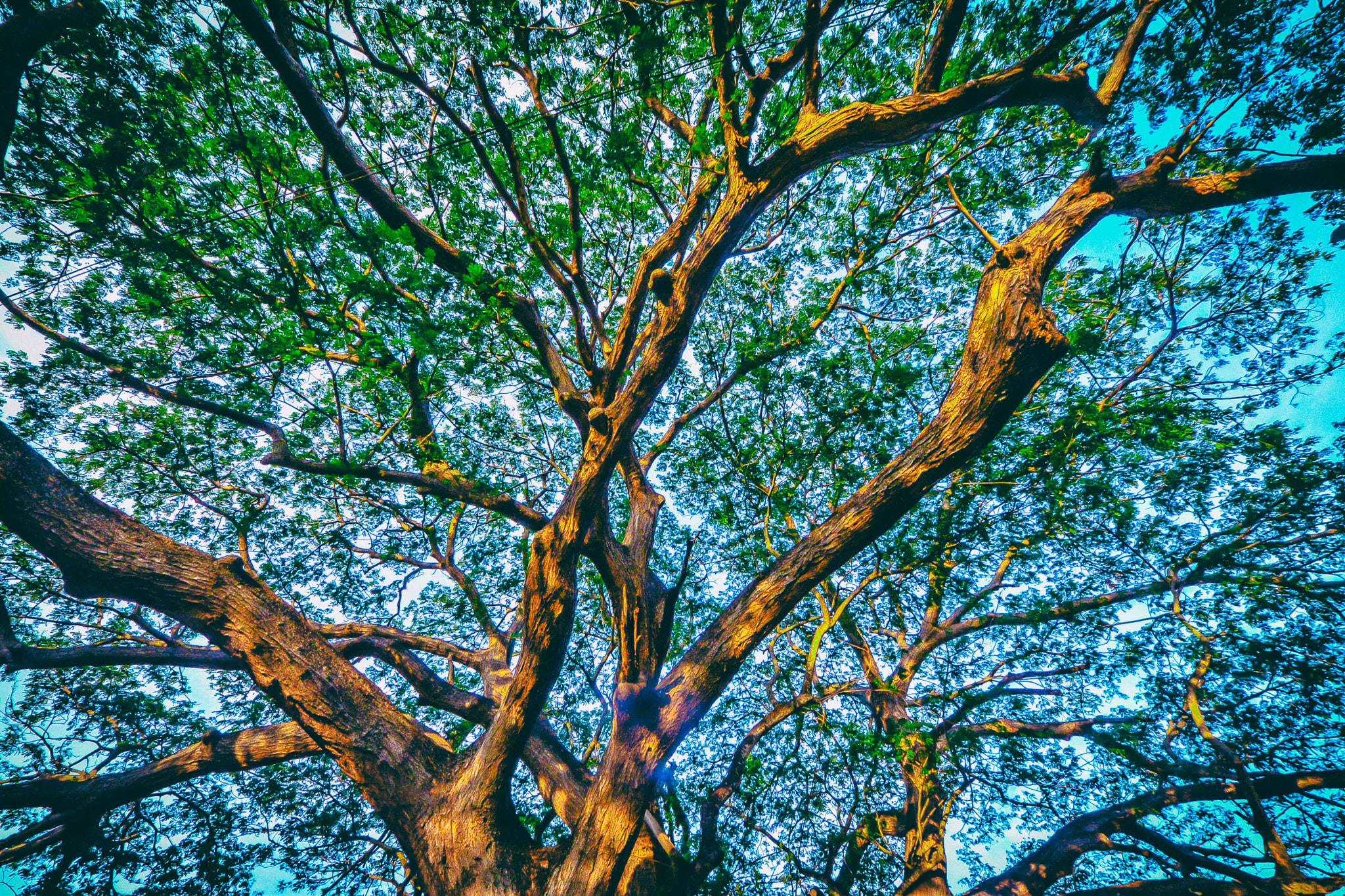 Sigma 8-16mm F4.5-5.6 DC HSM sample photo. Edit photography