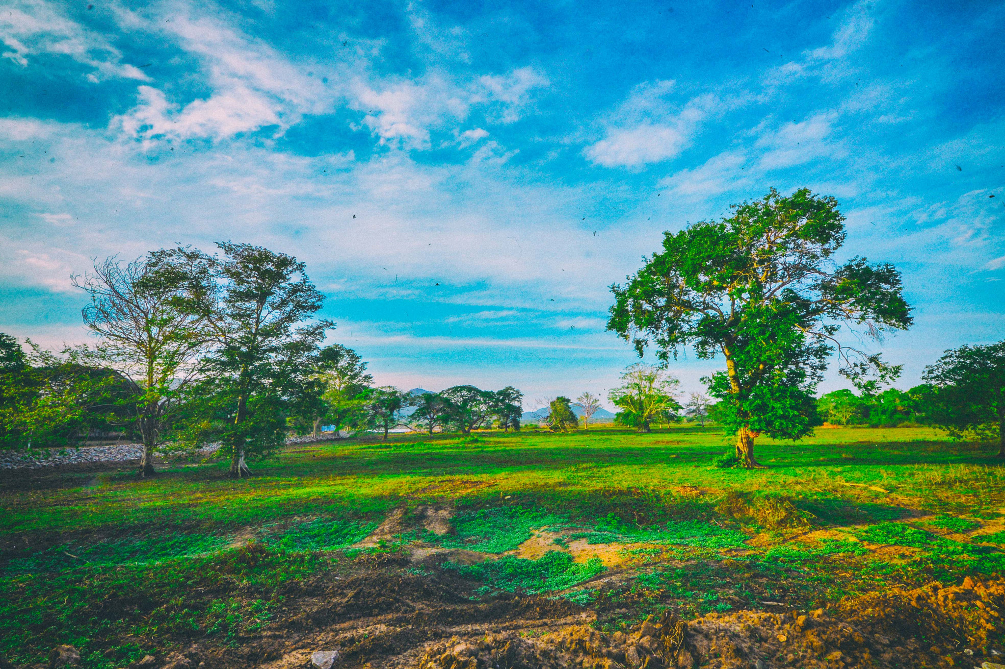 Sigma 8-16mm F4.5-5.6 DC HSM sample photo. Edit photography