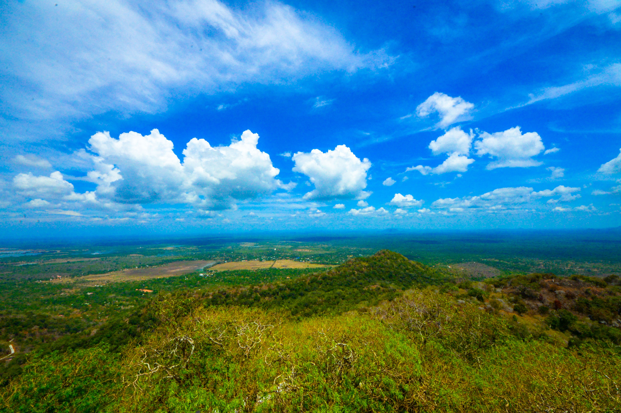 Sigma 8-16mm F4.5-5.6 DC HSM sample photo. Dsc photography