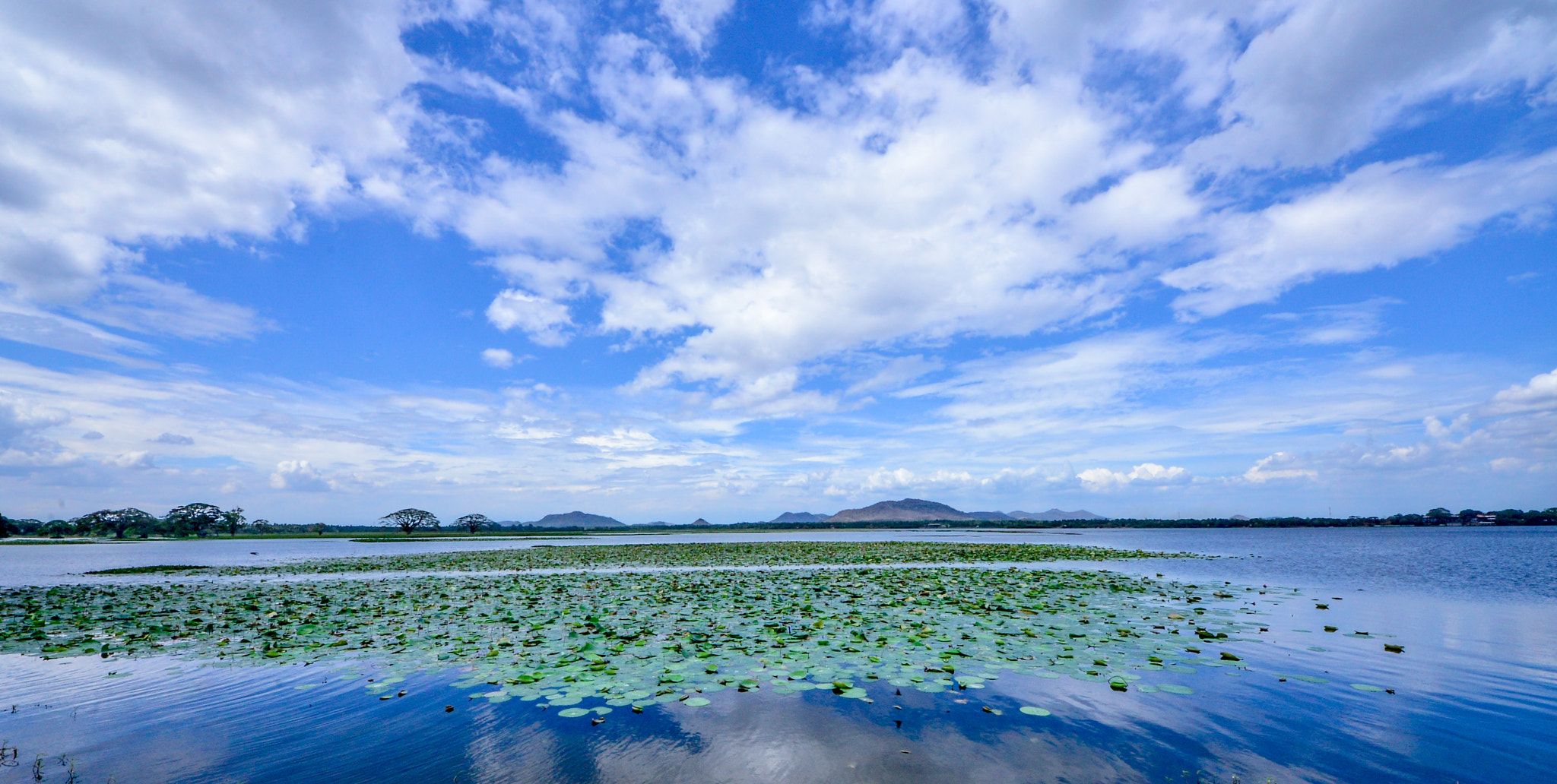 Sigma 8-16mm F4.5-5.6 DC HSM sample photo. Dsc photography