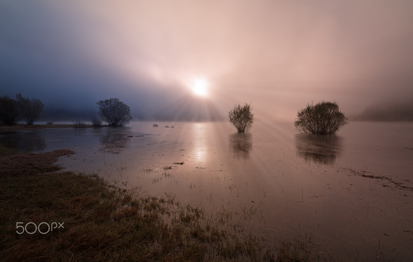 Nikon D750 + Tokina AT-X 17-35mm F4 Pro FX sample photo. Sunrise photography