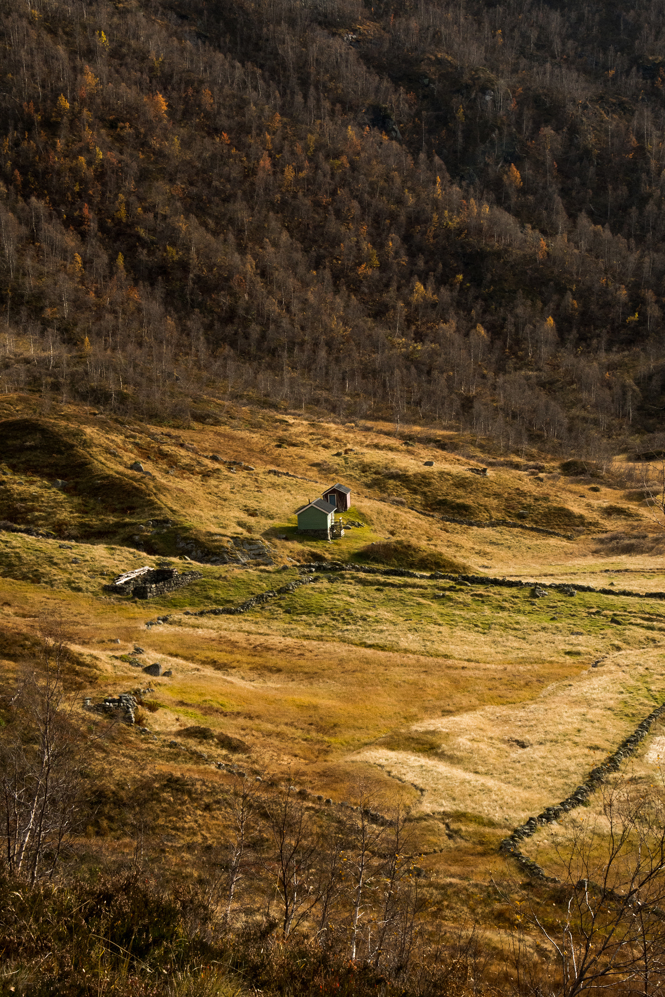 Nikon D500 sample photo. Fjelldal photography