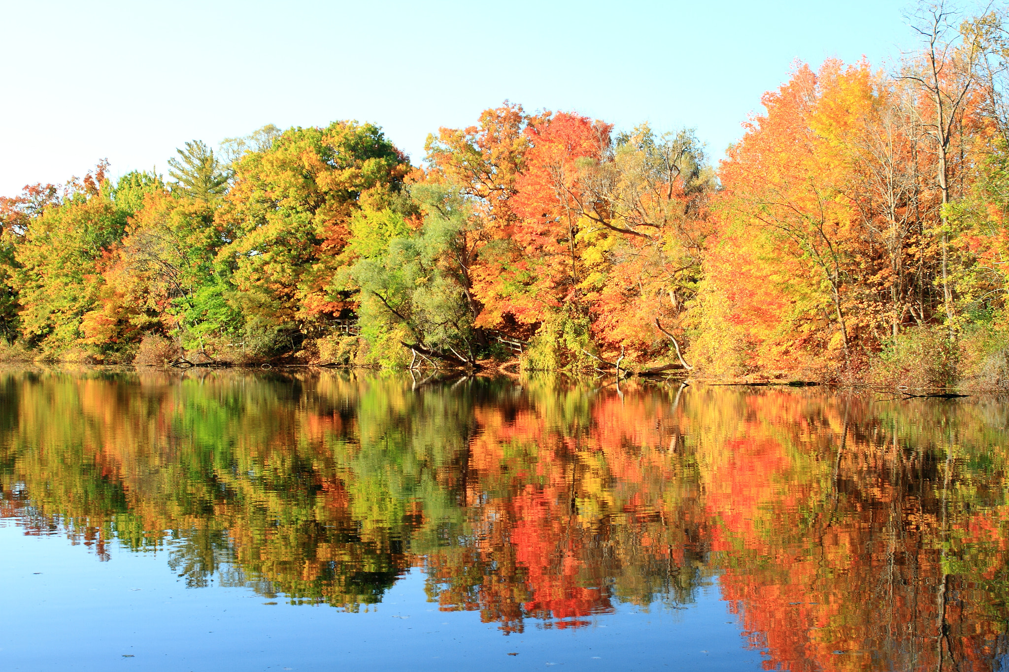 Canon EOS 7D sample photo. Fall reflection photography