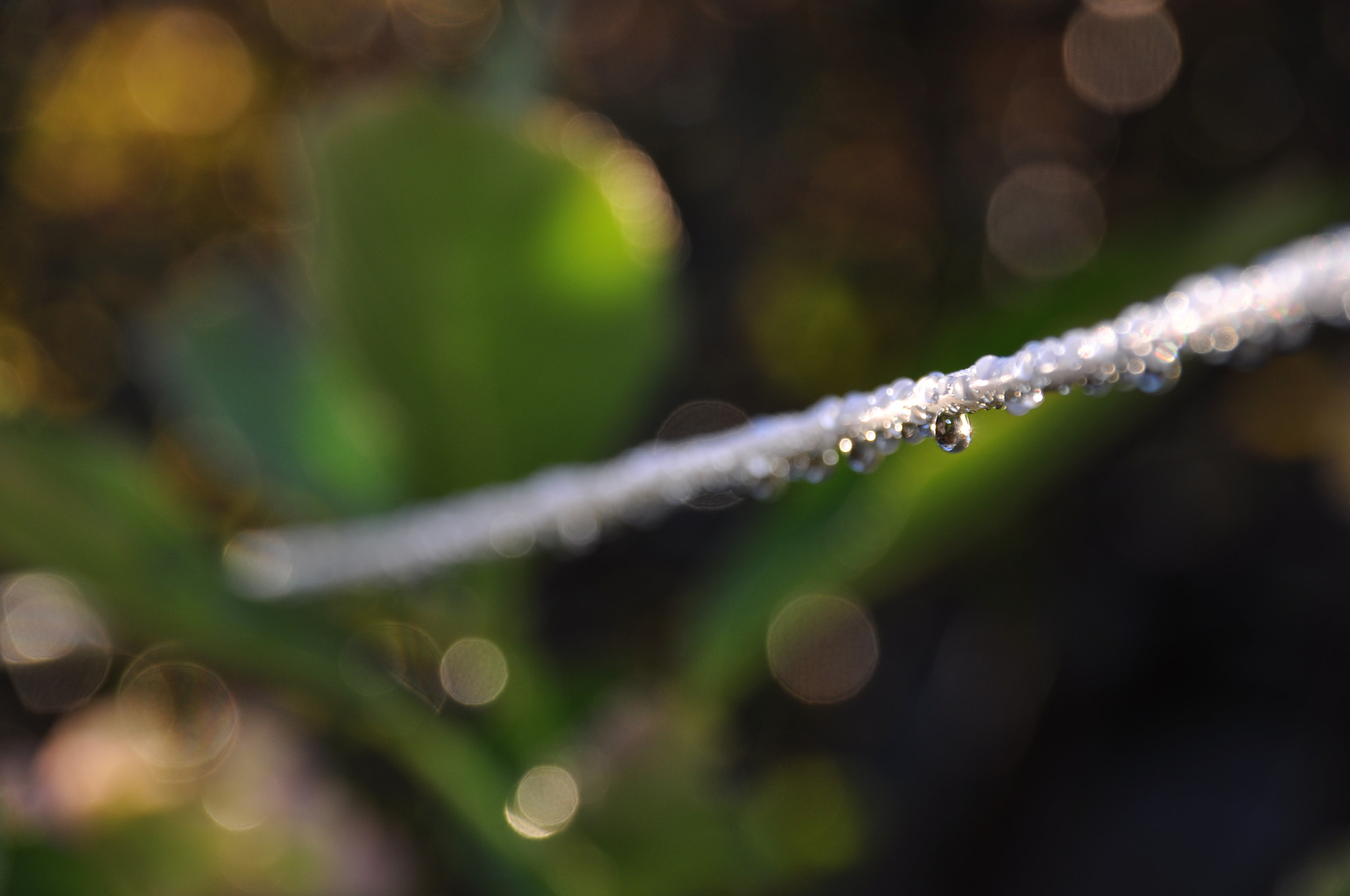 Nikon D90 + Sigma 18-200mm F3.5-6.3 DC sample photo. Water drops photography