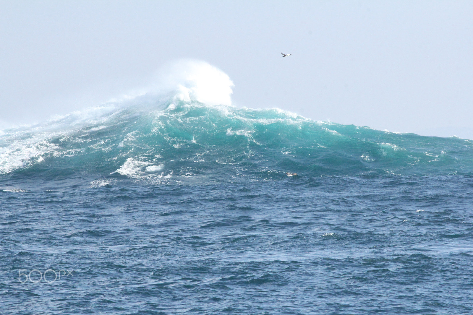 Canon EOS 60D + Canon EF 400mm F5.6L USM sample photo. Breaking wave photography