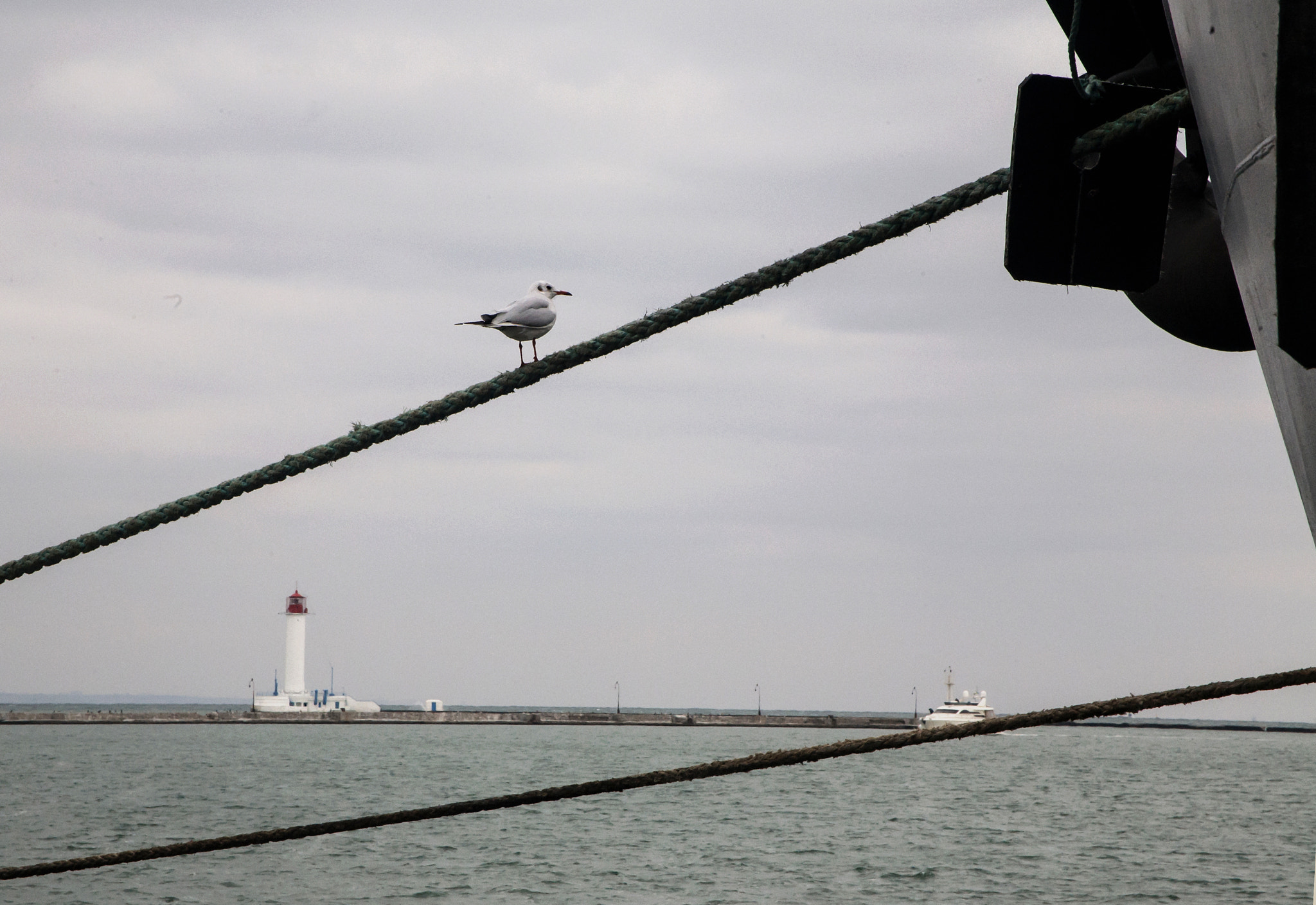 Canon EF 28-105mm f/3.5-4.5 USM sample photo