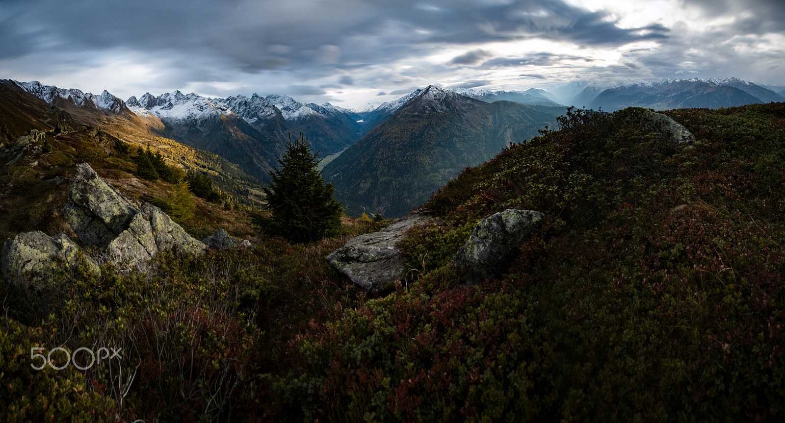 Nikon D500 sample photo. In the middle of the alps photography