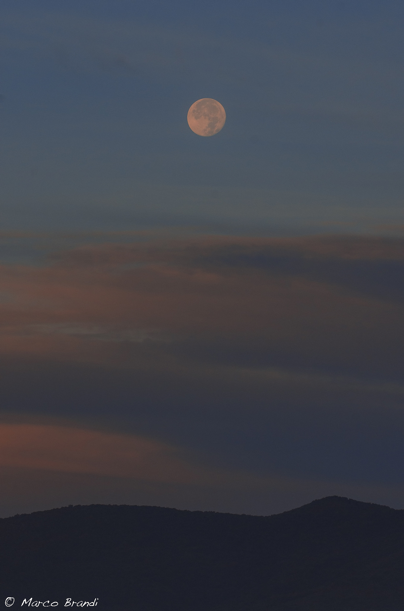 Sigma 150-600mm F5-6.3 DG OS HSM | S sample photo. Sunrise's moon photography