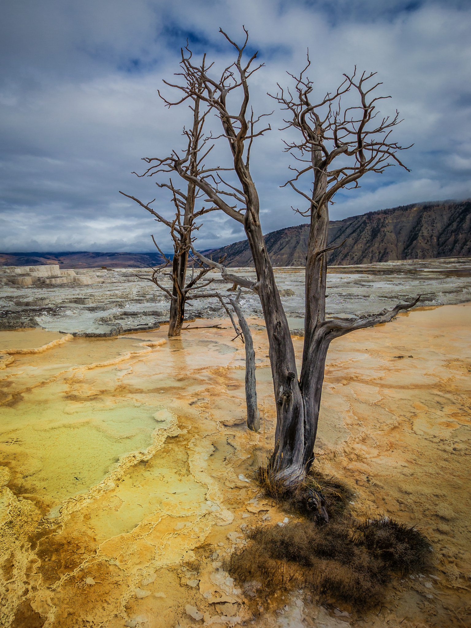 Nikon D3100 + Sigma 10-20mm F3.5 EX DC HSM sample photo. Yellowstone photography