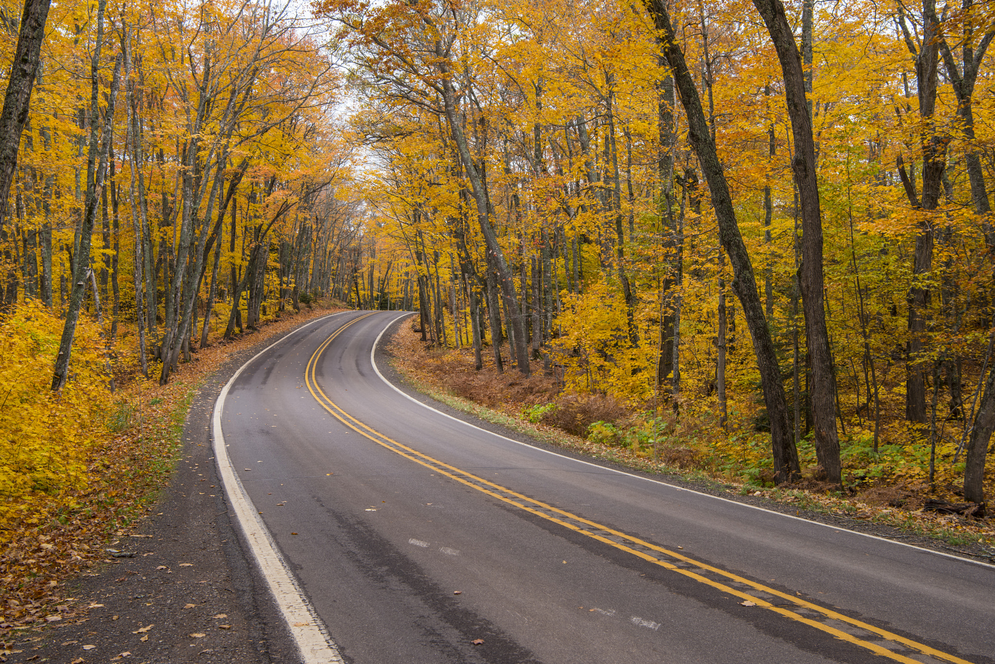 Nikon D810A + Nikon AF-S Nikkor 24-70mm F2.8E ED VR sample photo. Autumn road photography