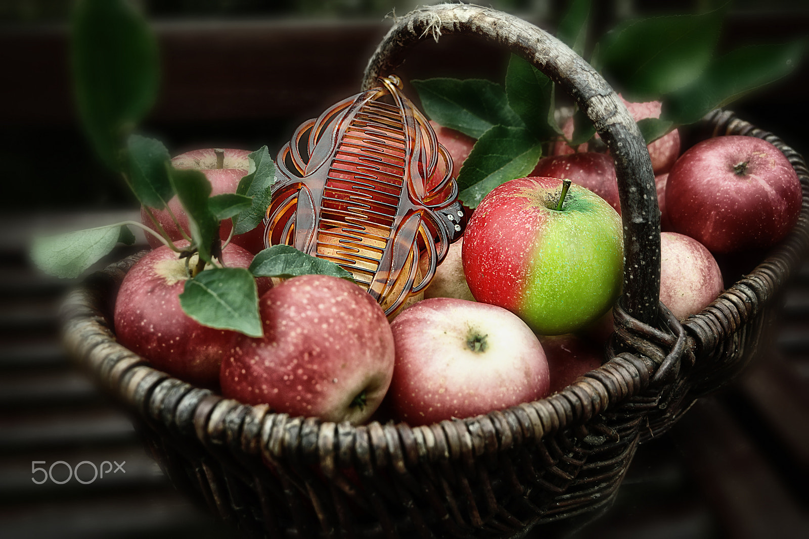 Sony E 18-200mm F3.5-6.3 OSS sample photo. The dangerous gifts photography