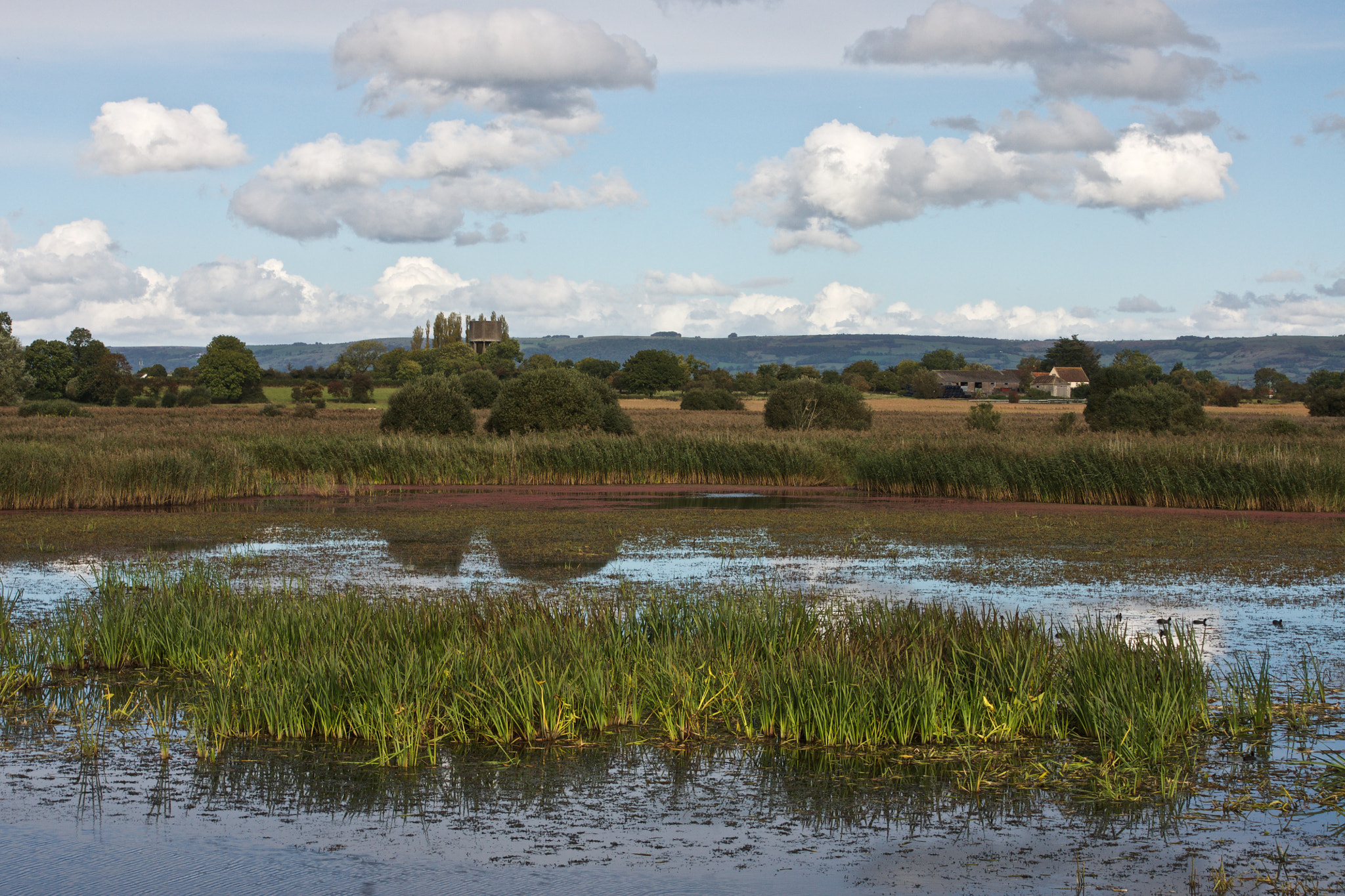 Sony Alpha DSLR-A700 sample photo. English wetlands photography